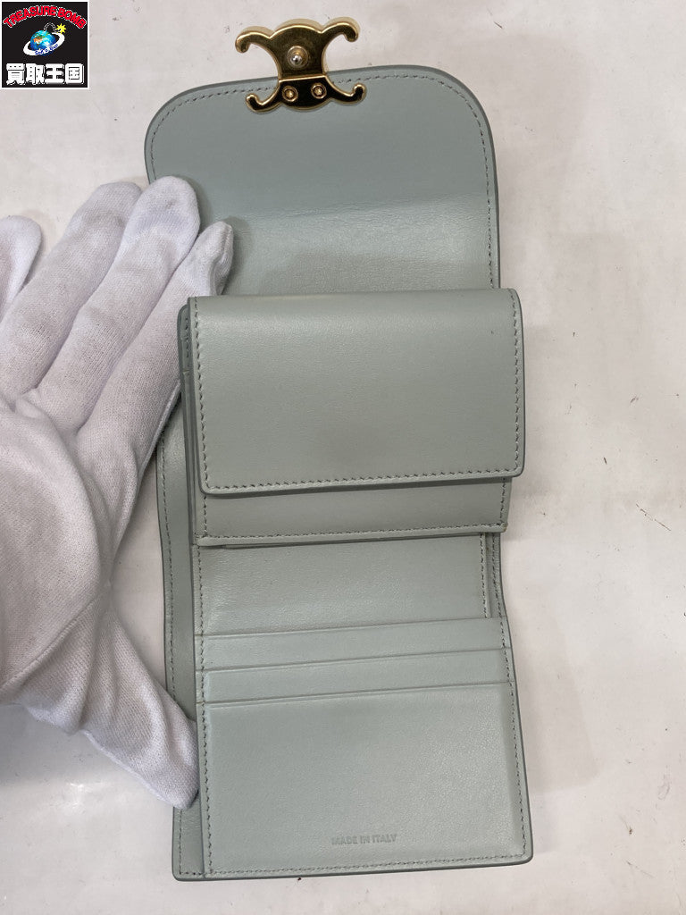Small Triomphe wallet