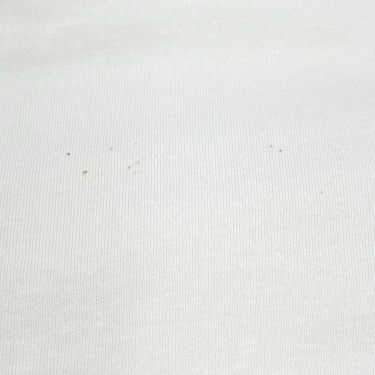 COACH ポケットTee（XL)