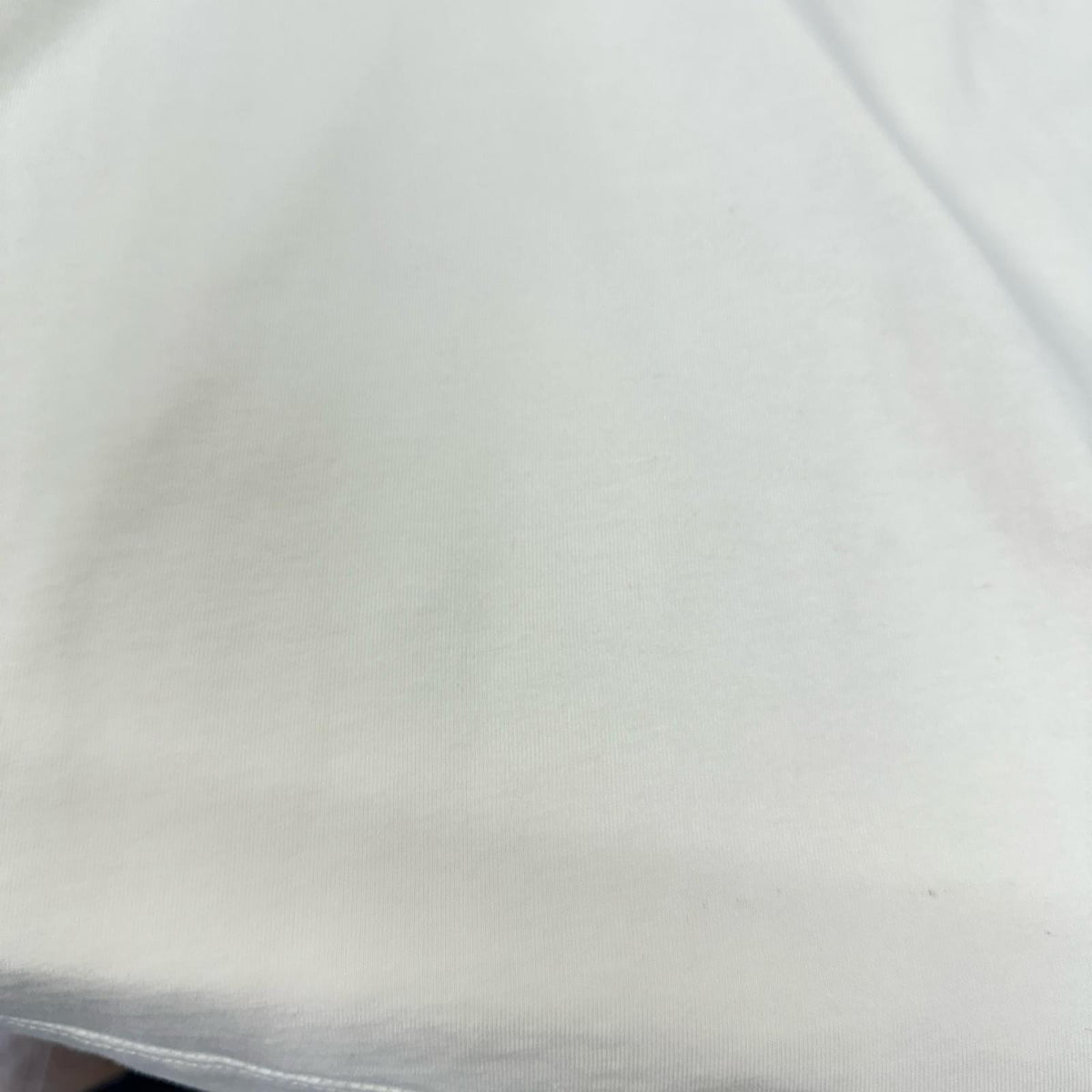 COACH ポケットTee（XL)