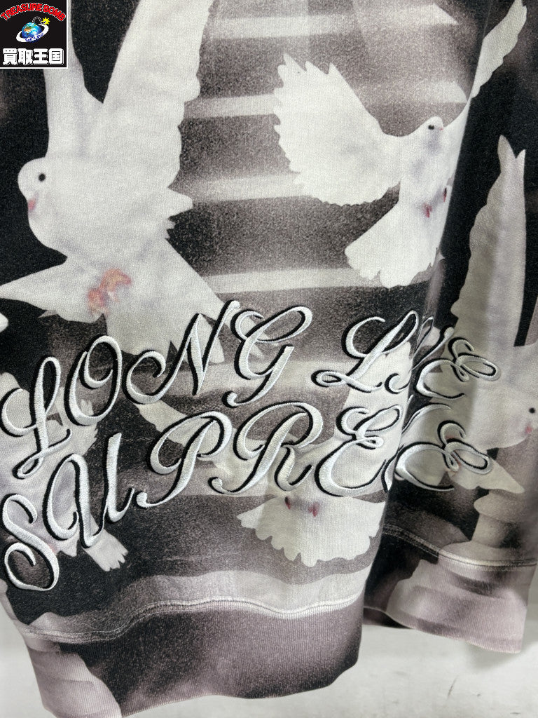 パーカー 22SS Doves Hooded Sweatshirt M