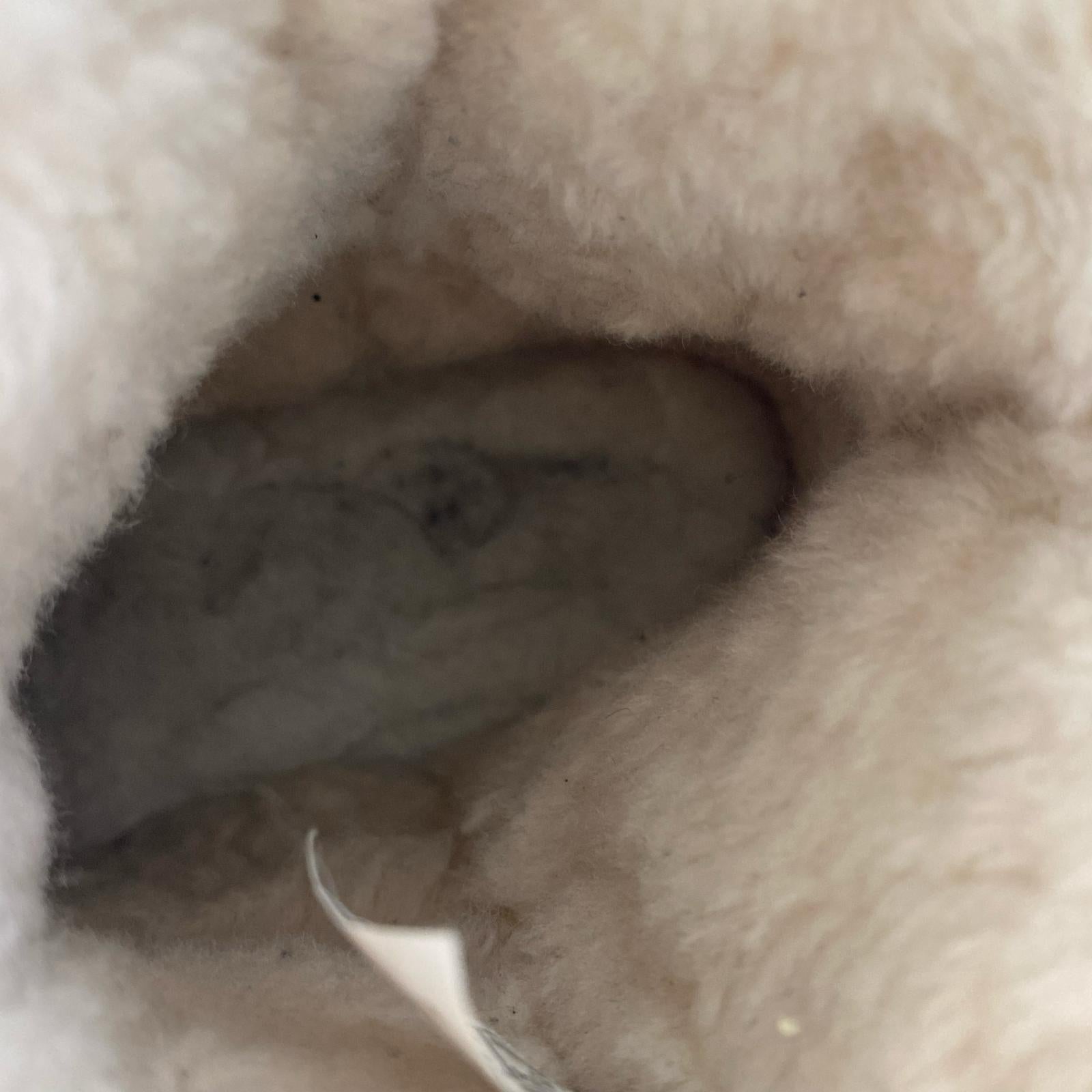 ブーツ UGG CLASSIC CHILLAPEAK (24) 24cm (US6 UK5 1/2 EU38) ベージュ