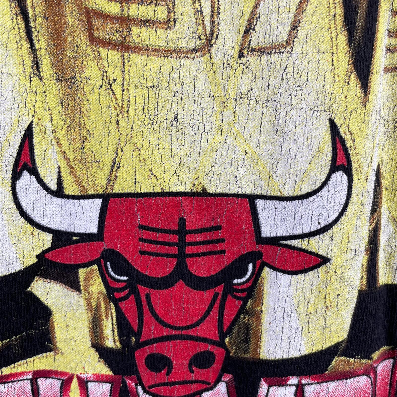半袖Ｔシャツ bulls usa tシャツ