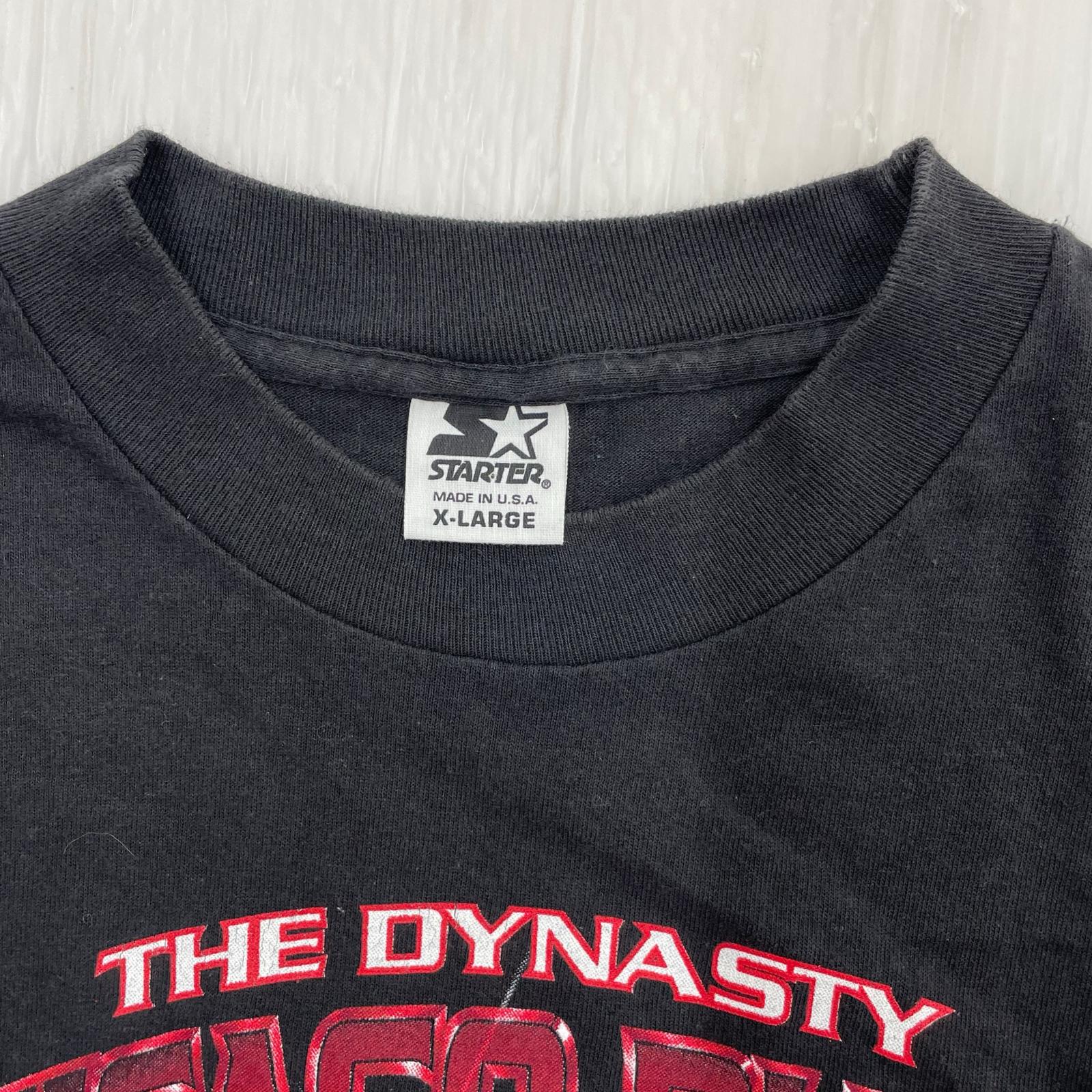 半袖Ｔシャツ bulls usa tシャツ