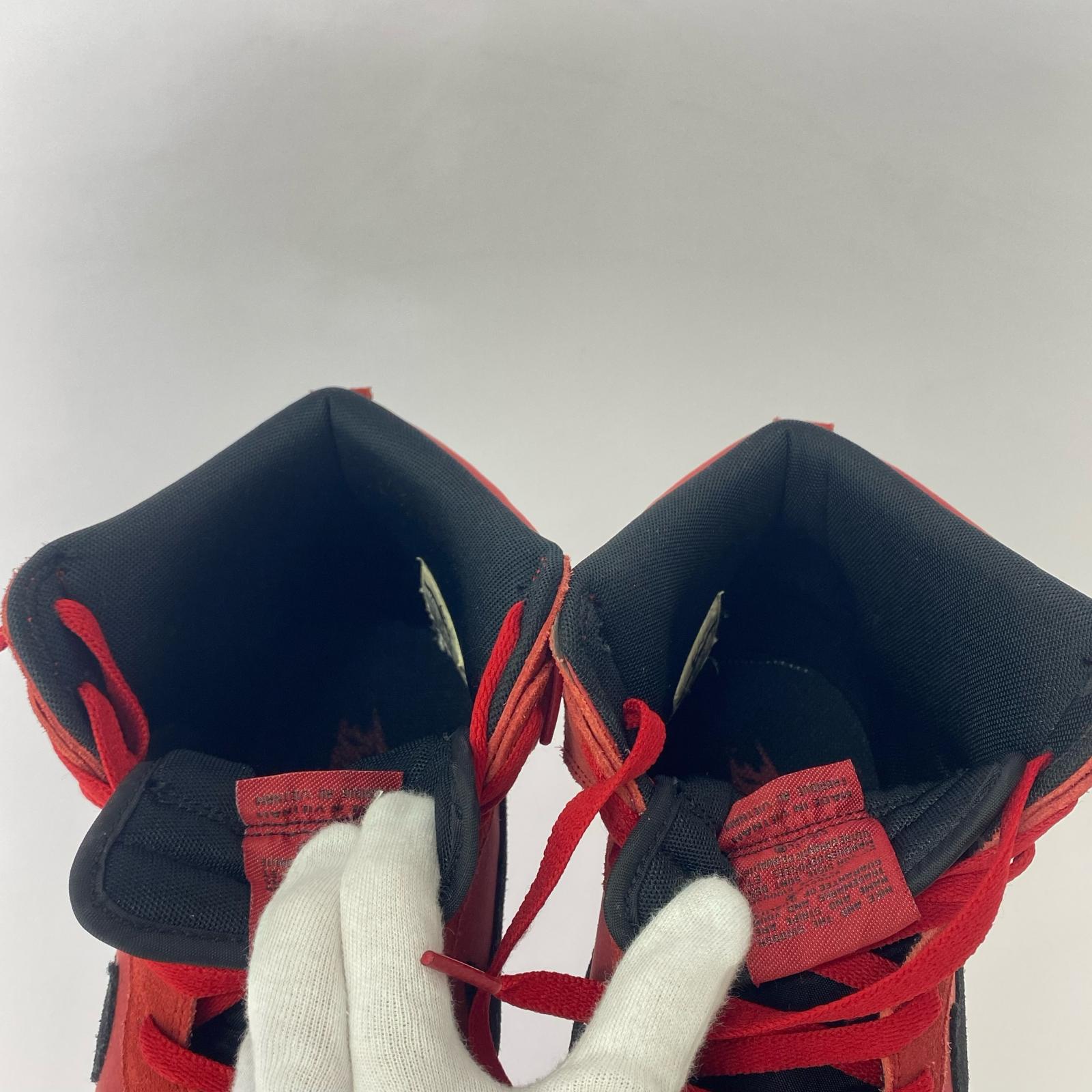 スニーカー DUNK HIGH 29cm (US11 UK10 1/2 EU48) レッド