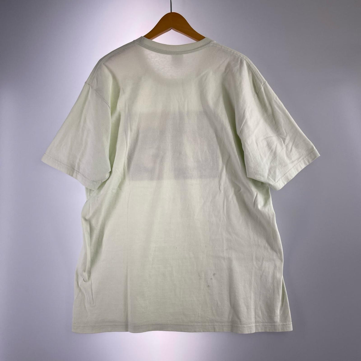 半袖Ｔシャツ ﾐﾝﾄｸﾞﾘｰﾝ L グリーン