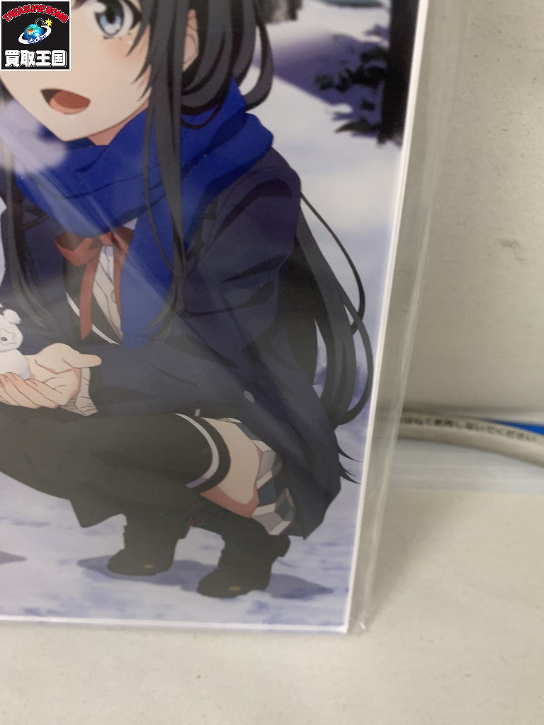 やはり俺の青春ラブコメはまちがっている アクリルボード フィギュア/グッズ