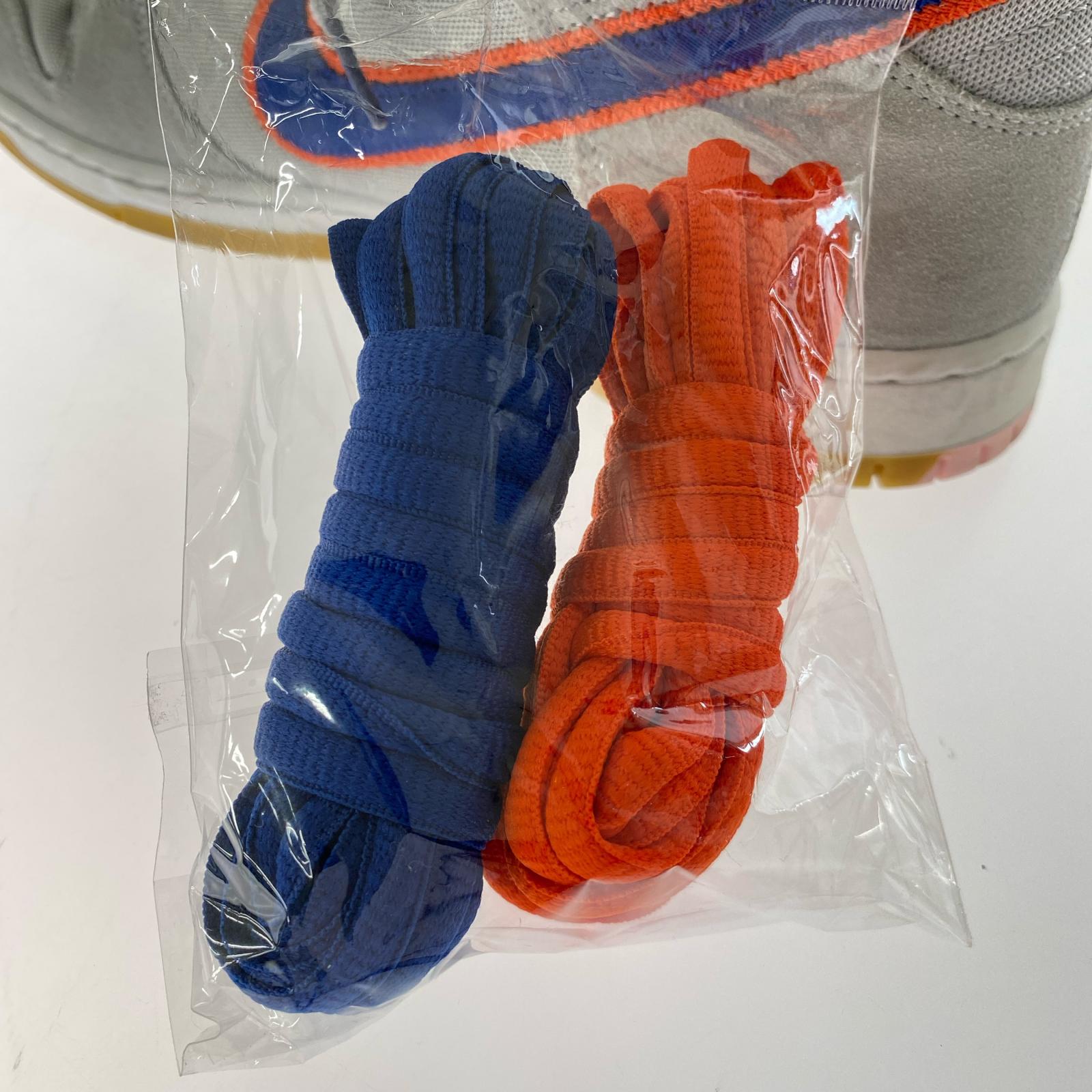 スニーカー SB DUNK HIGH PRM 青 (29.0) 29cm (US11 UK10 1/2 EU48)