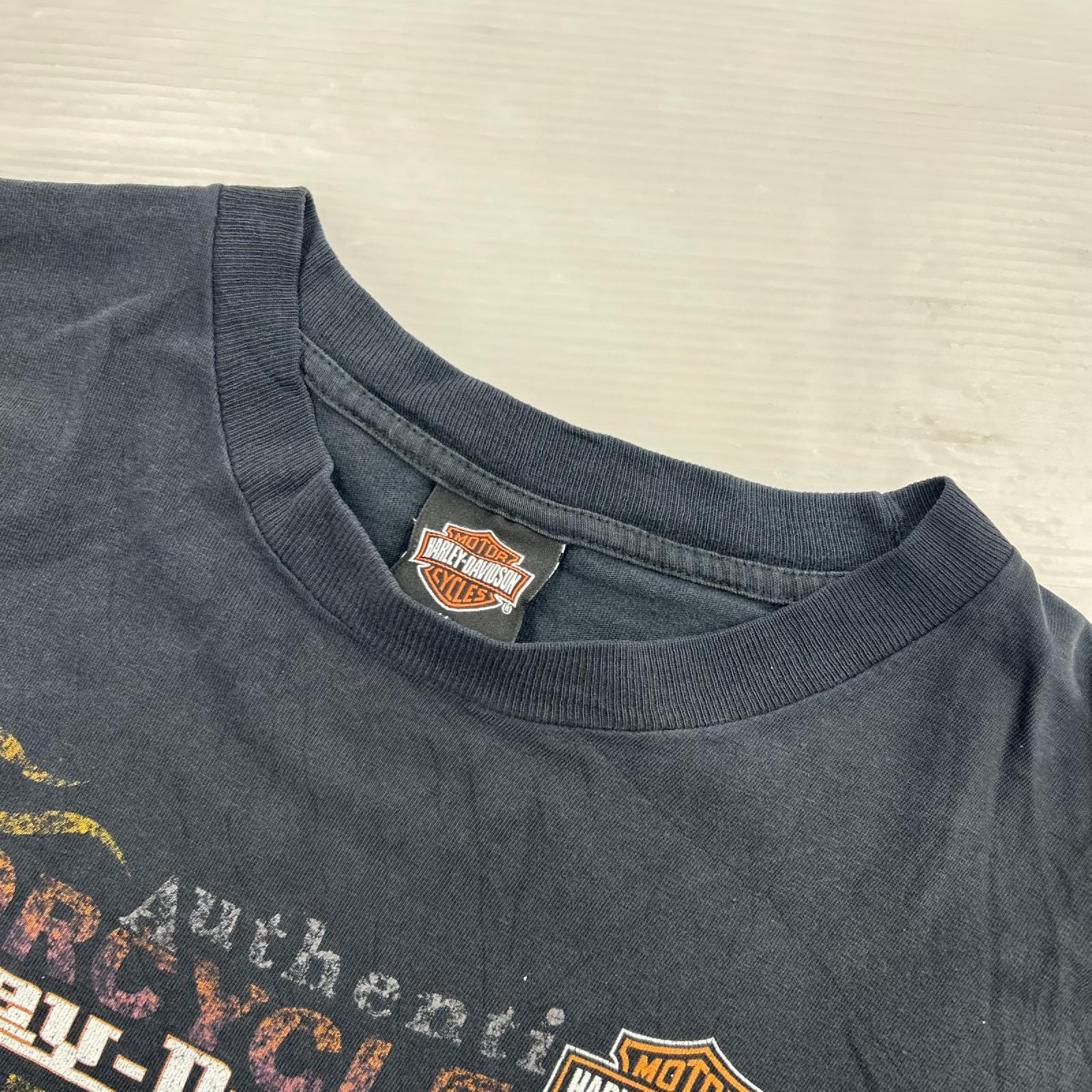 半袖Ｔシャツ HOLOUBEX 黒 (M) M ブラック