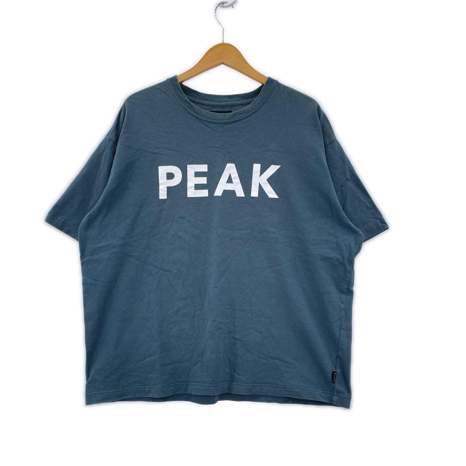 半袖Ｔシャツ 別注 Logo Print Tee L BGR L