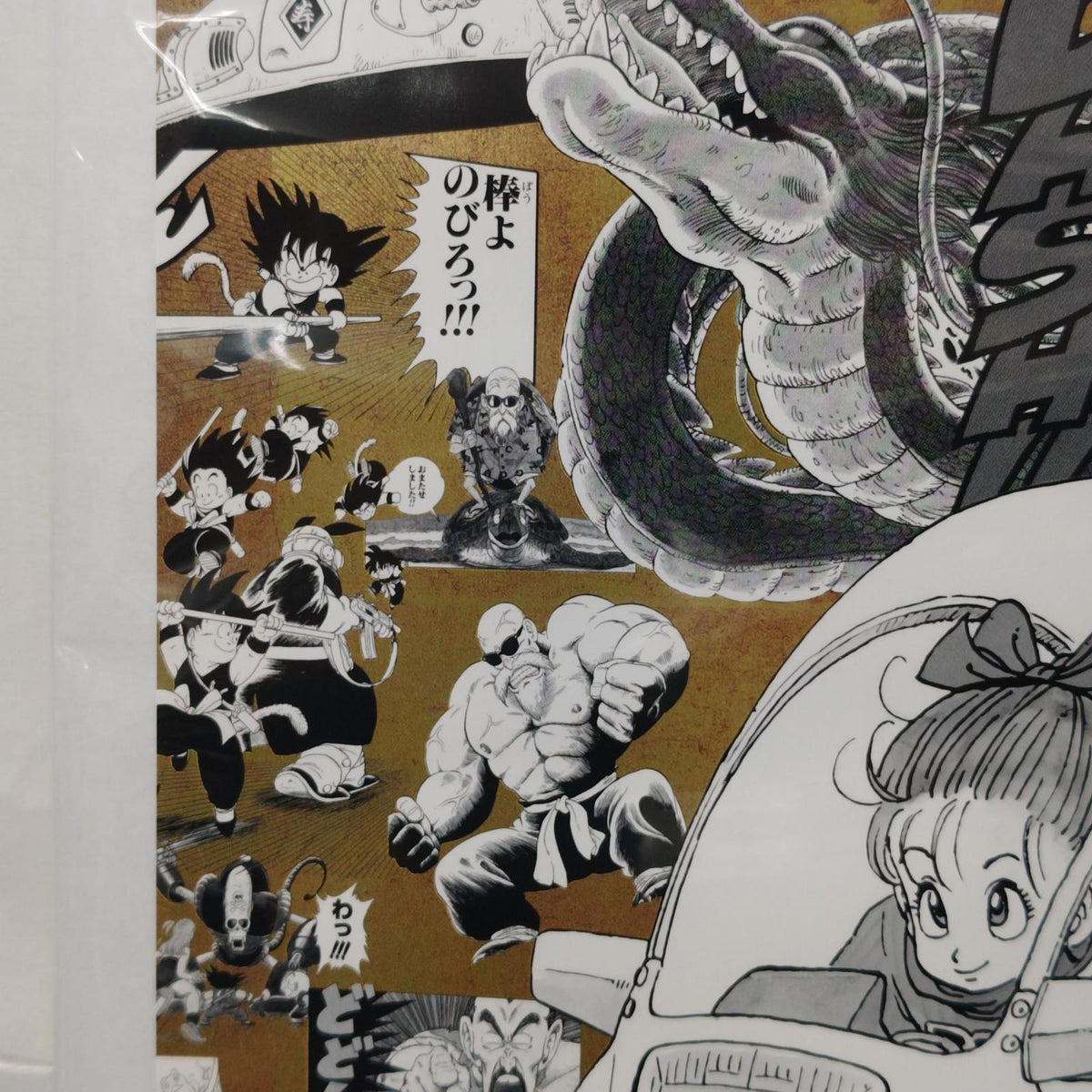 ドラゴンボール EXPO2025 特殊加工印刷ポスター ドラゴンボールシリーズ/DRAGON BALLシリーズ 大日本印刷株式会社 フィギュア/グッズ