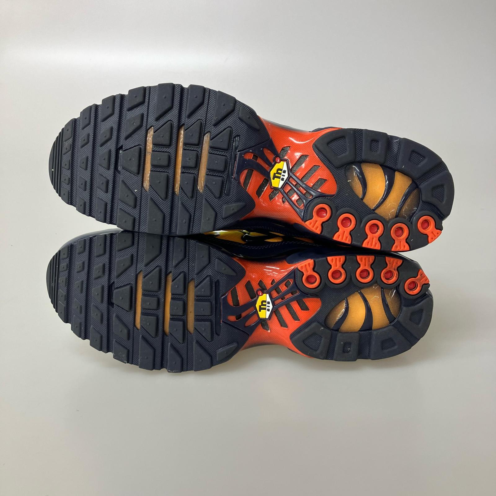 スニーカー NIKE AIR MAX PLUS LEMON VENOM 30㎝ DM0032-701 30cm (US12 UK11 1/2 EU50)