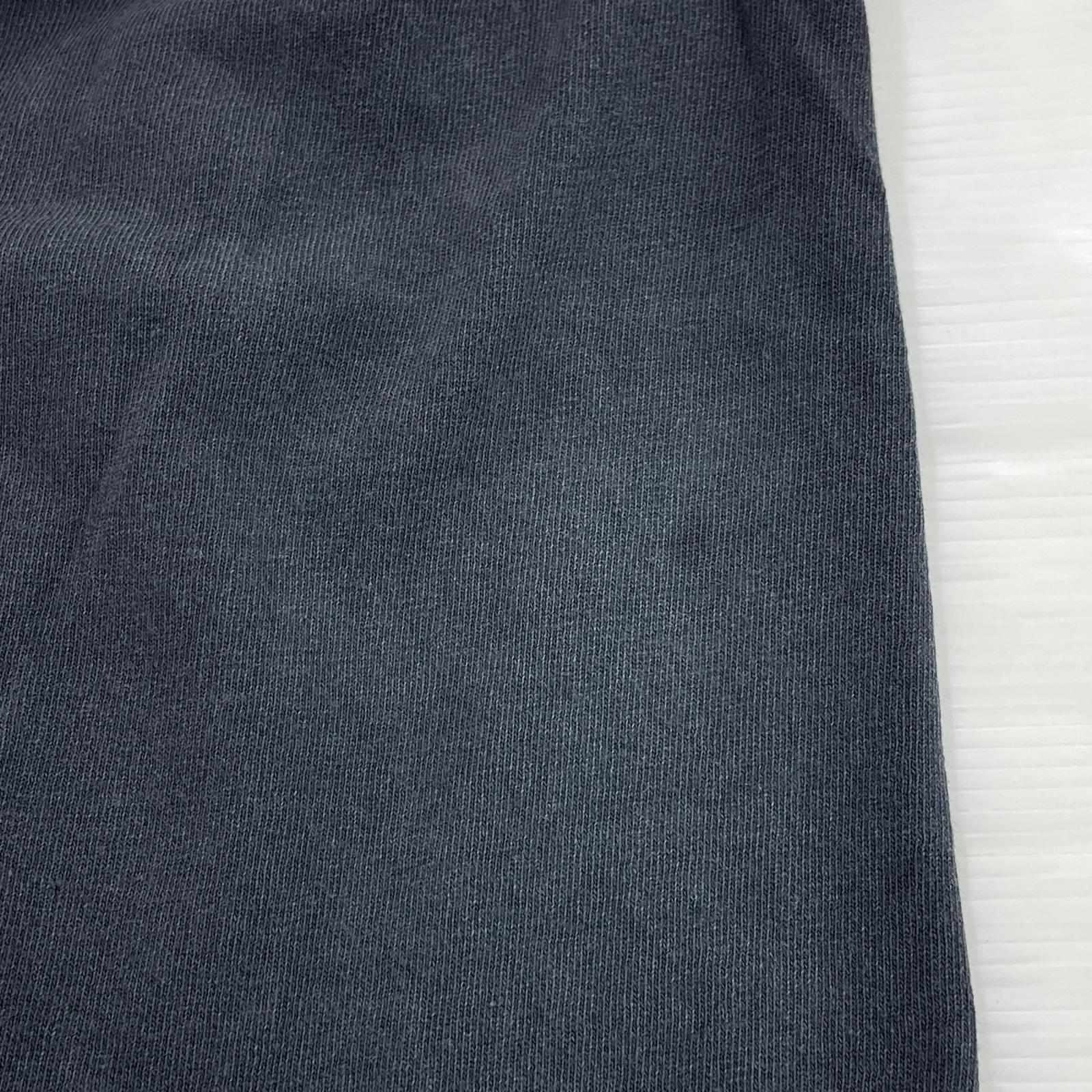 半袖Ｔシャツ 00s GILDAN MOUTAIN バンドT ツアーT ブラック