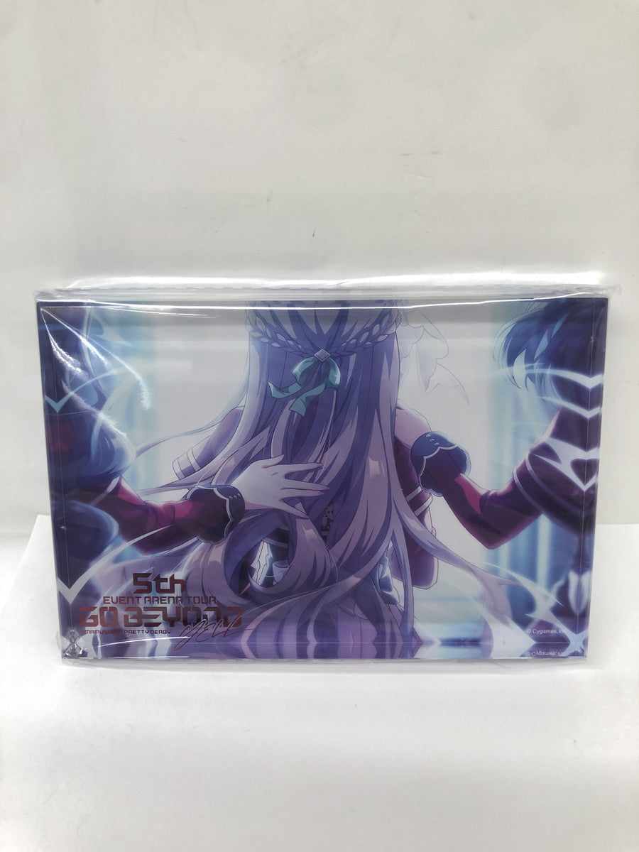 ウマ娘 メモリアルアクリルブロック フィギュア/グッズ