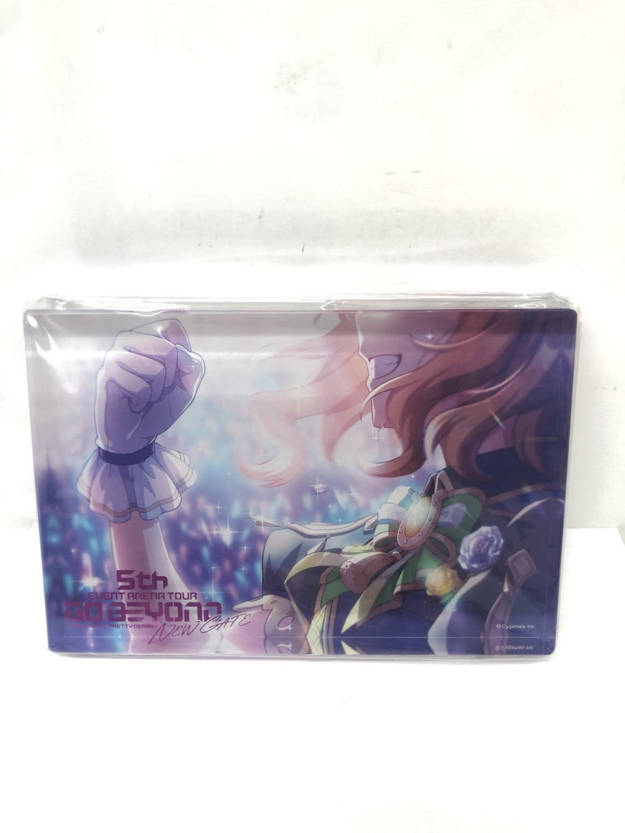 ウマ娘 メモリアルアクリルブロック フィギュア/グッズ