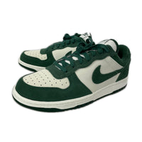スニーカー BIG NIKE LOW LUX 28.0cm 28cm (US10 UK9 1/2 EU46)