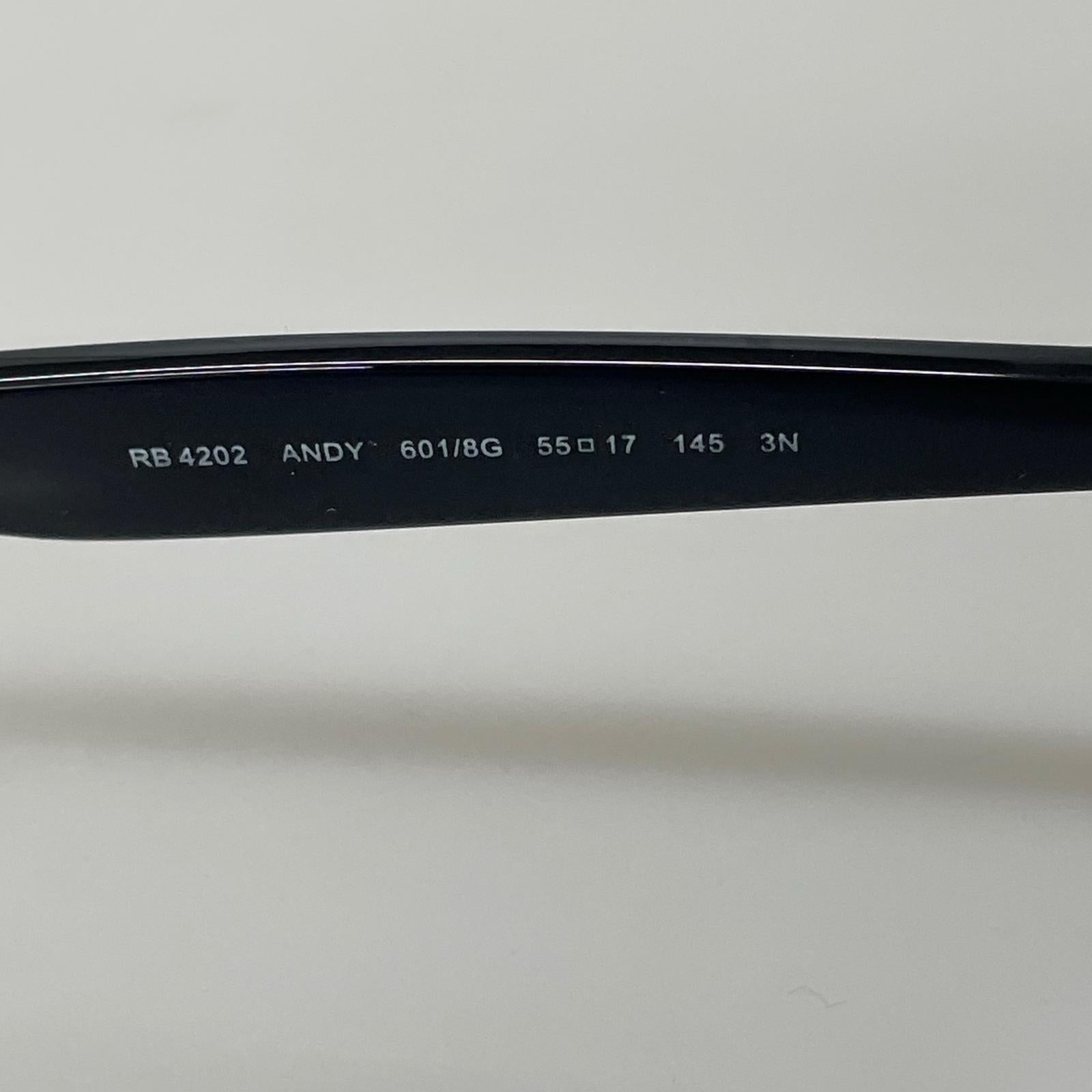 その他アクセサリー ANDY RB4202 サングラス ブラック