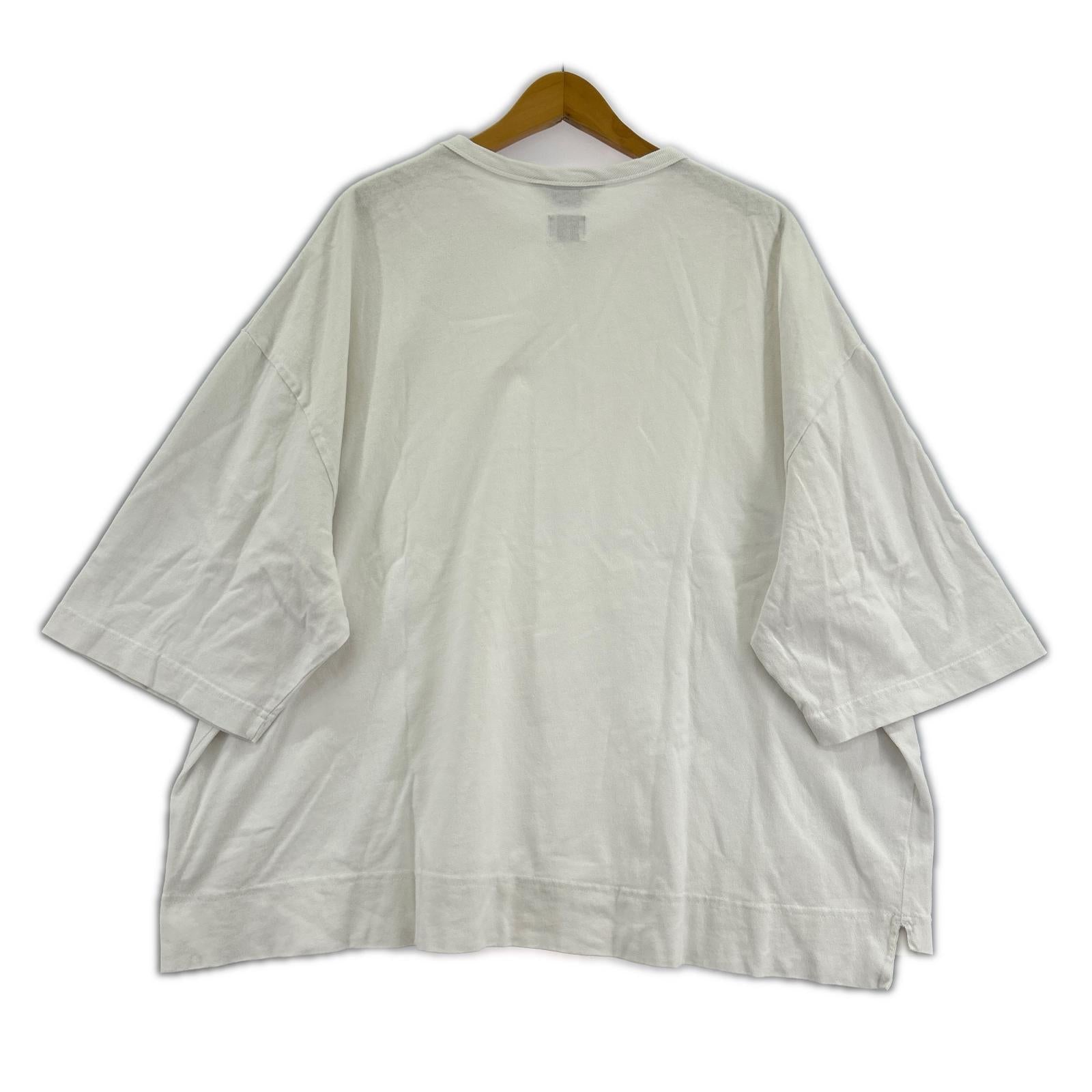半袖Ｔシャツ FRUITOFTHEROOM BIGT-SHIRT ホワイト