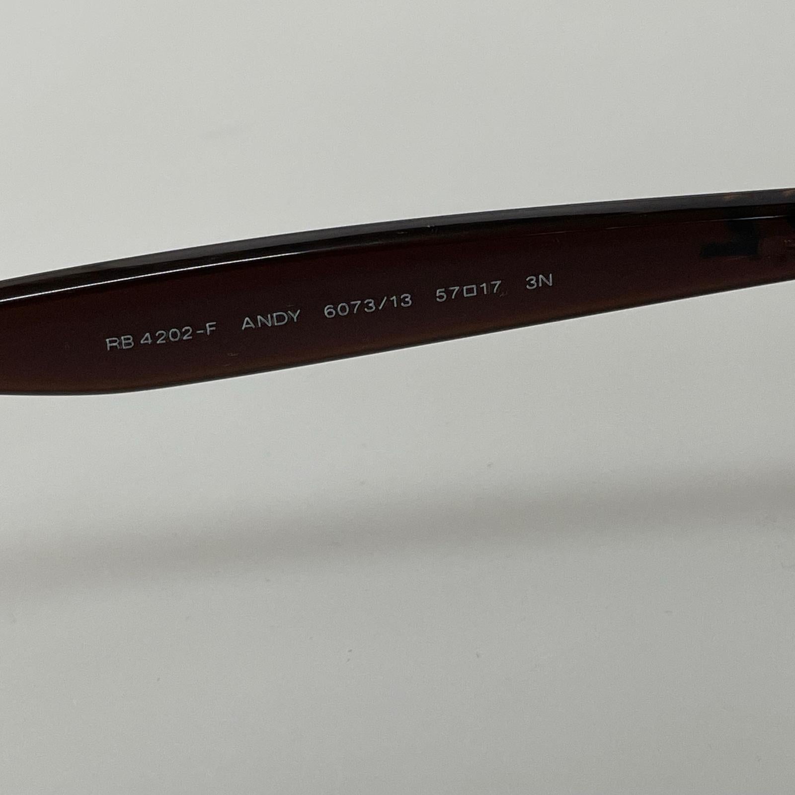 その他アクセサリー Ray-Ban Andy サングラス