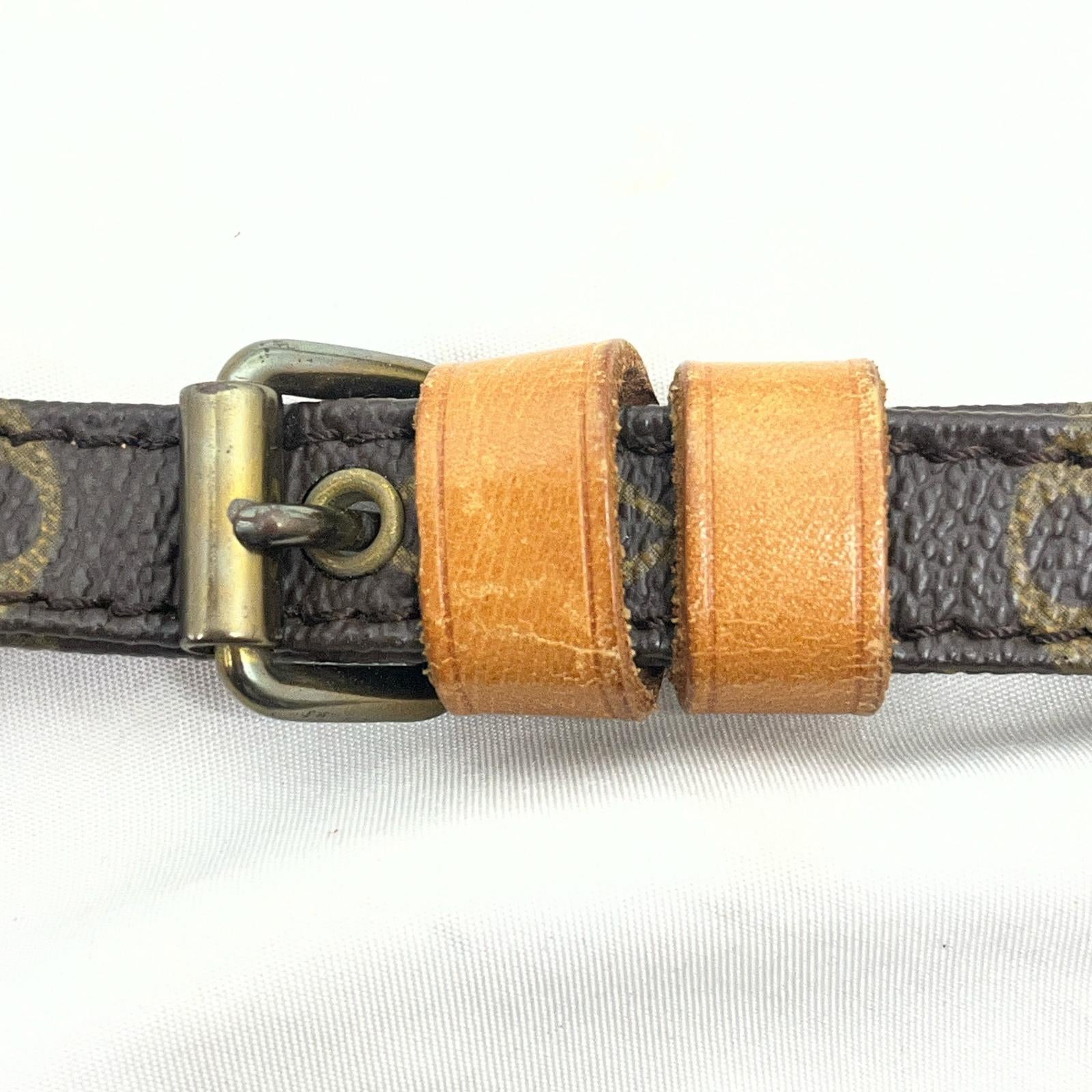 LV/ダヌーブ/モノグラム M45266
