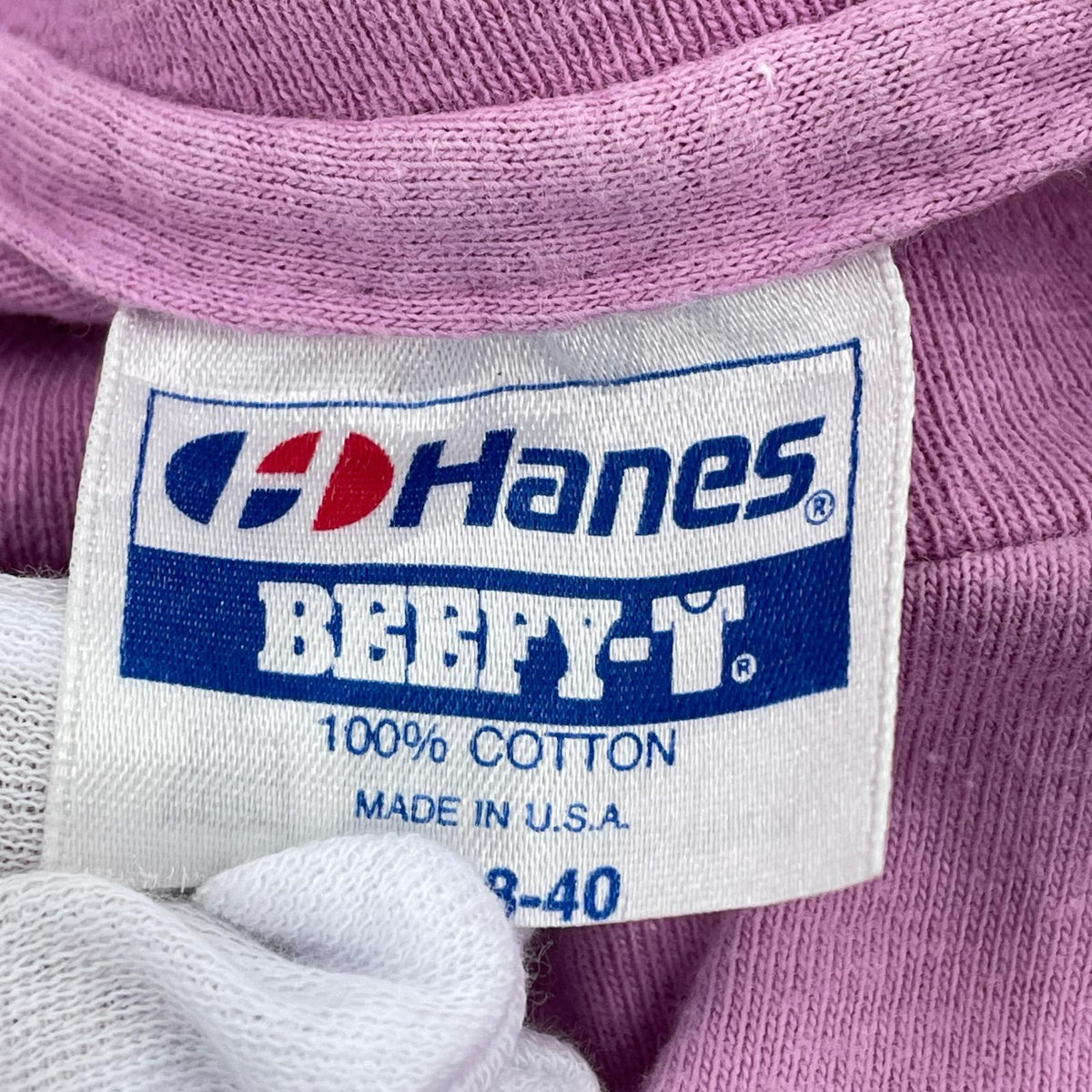 半袖Ｔシャツ Hanes 90s USA製 the black dog M