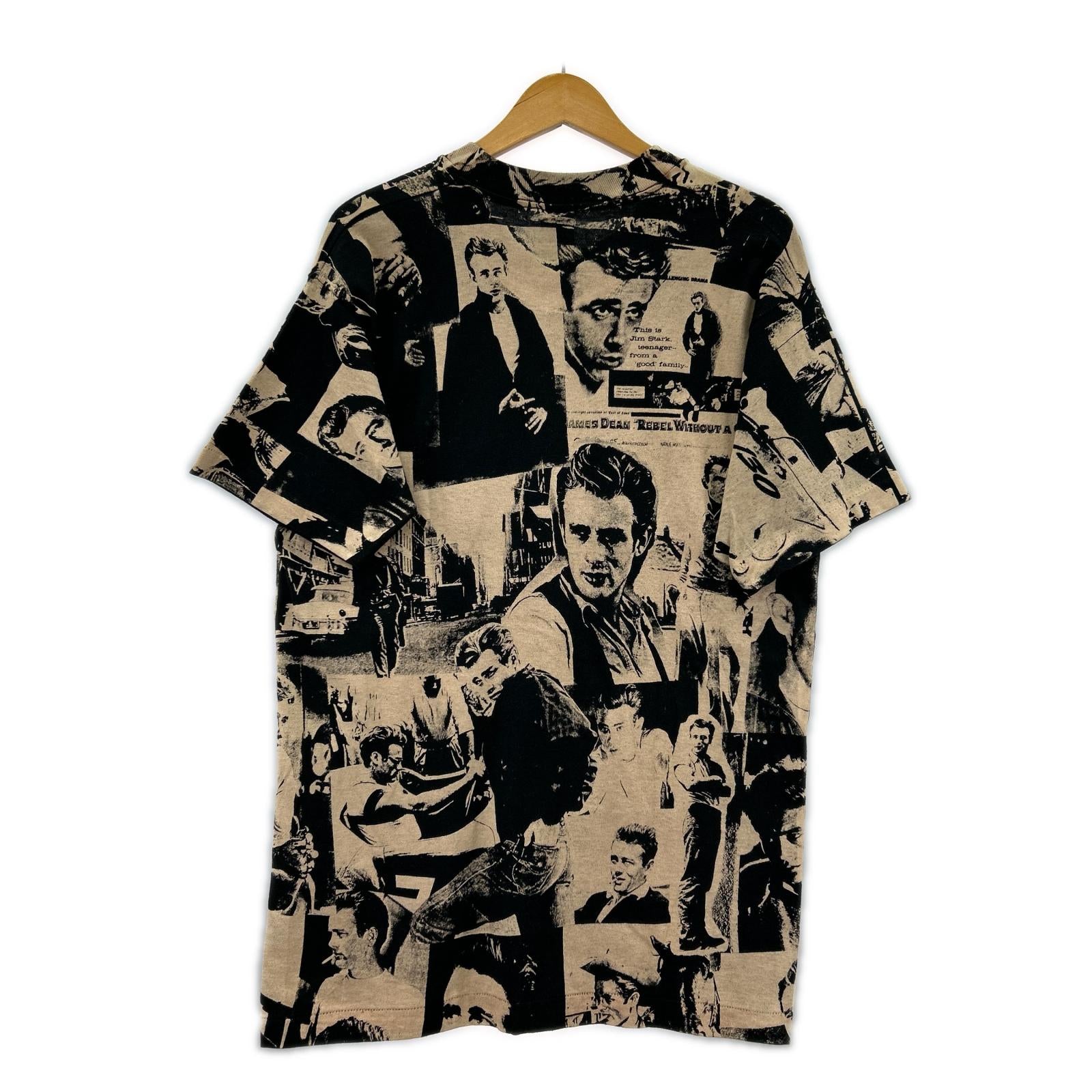 半袖Ｔシャツ 90's fruit of the loom 理由なき反抗 M