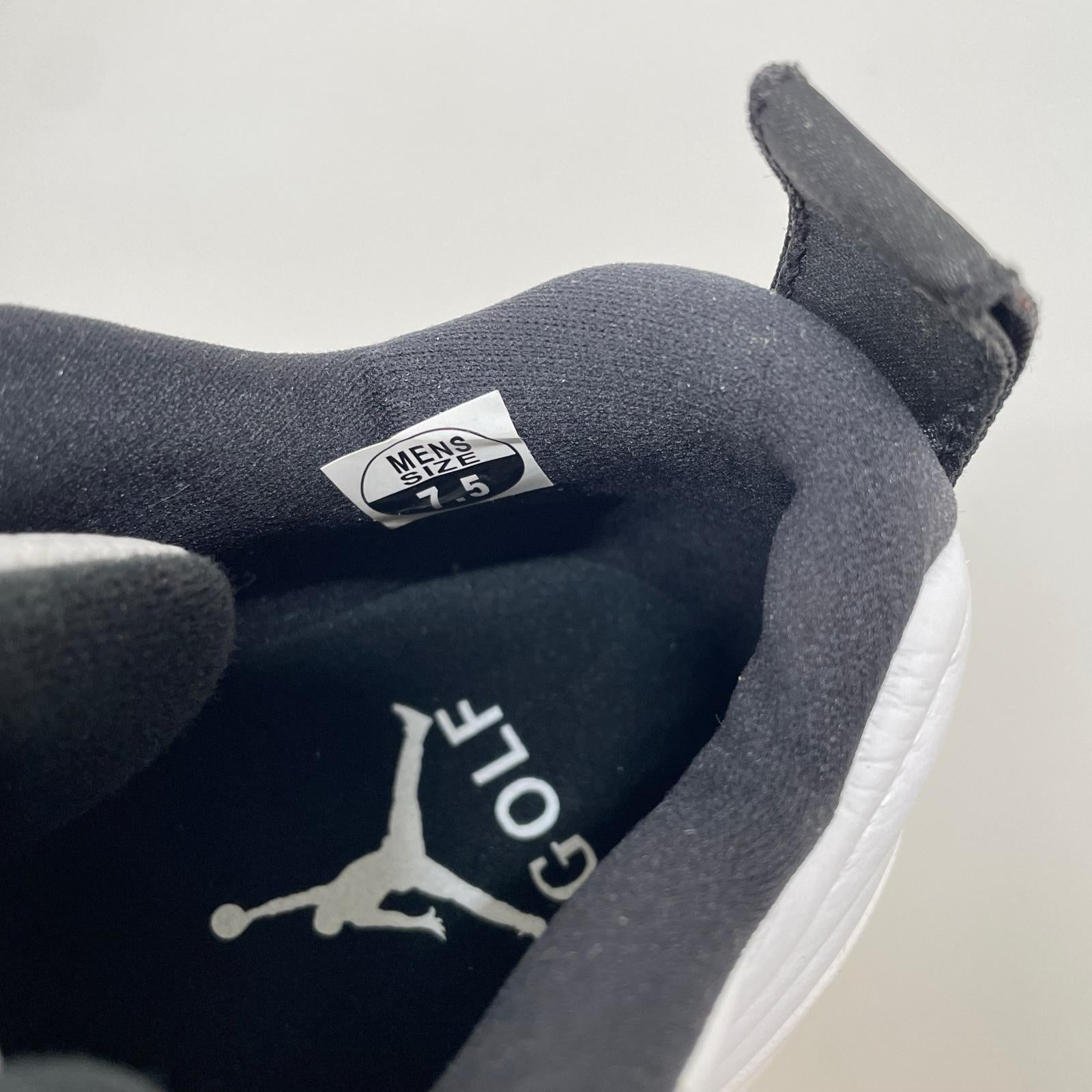 スニーカー AIR JORDAN XII LOW (25.5) 25.5cm (US7 1/2 UK7 EU41)