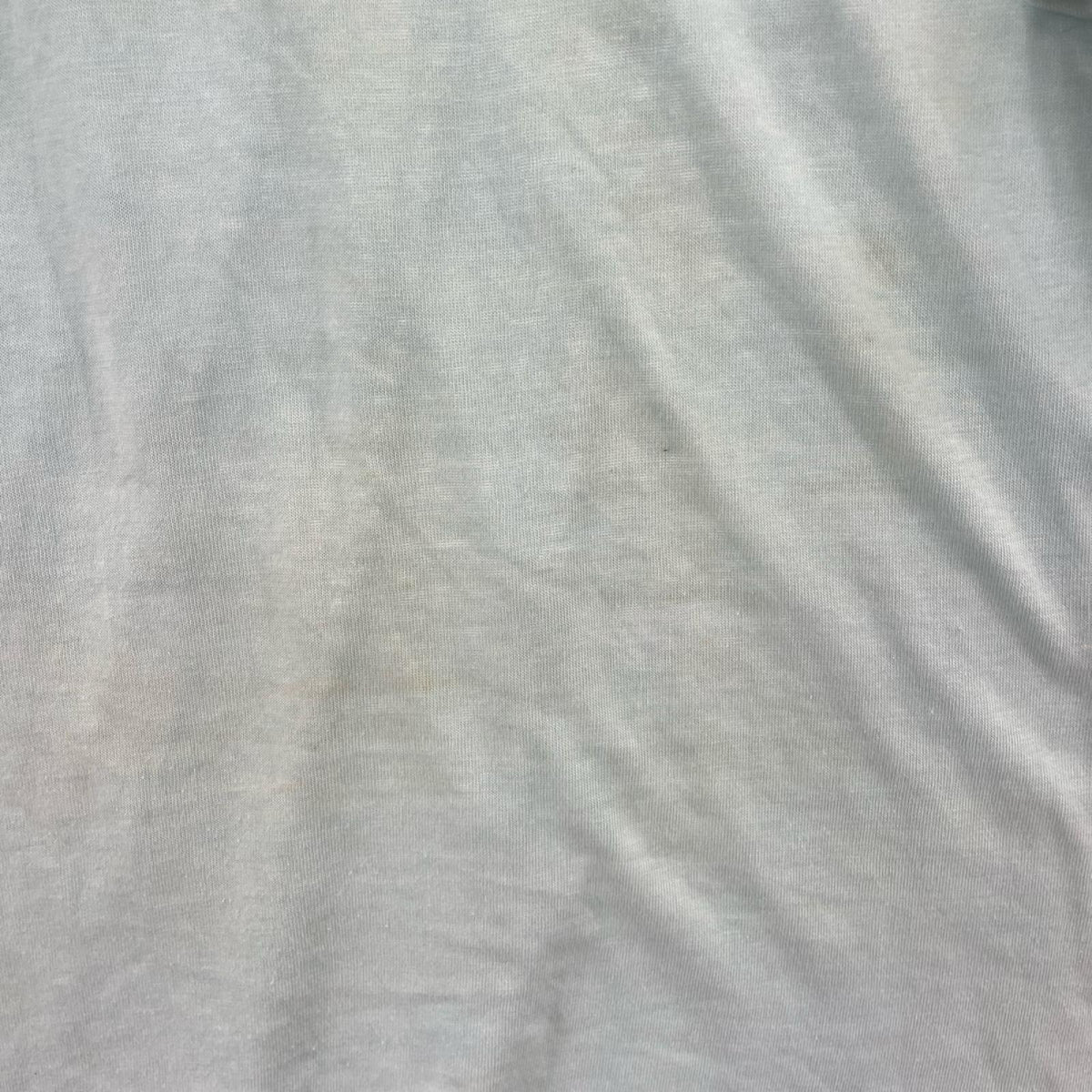 半袖Ｔシャツ 73~82s ﾊﾞｰﾀﾞｸﾞ後期 S/S ｶﾚｯｼﾞﾘﾝｶﾞｰTee M ブルー