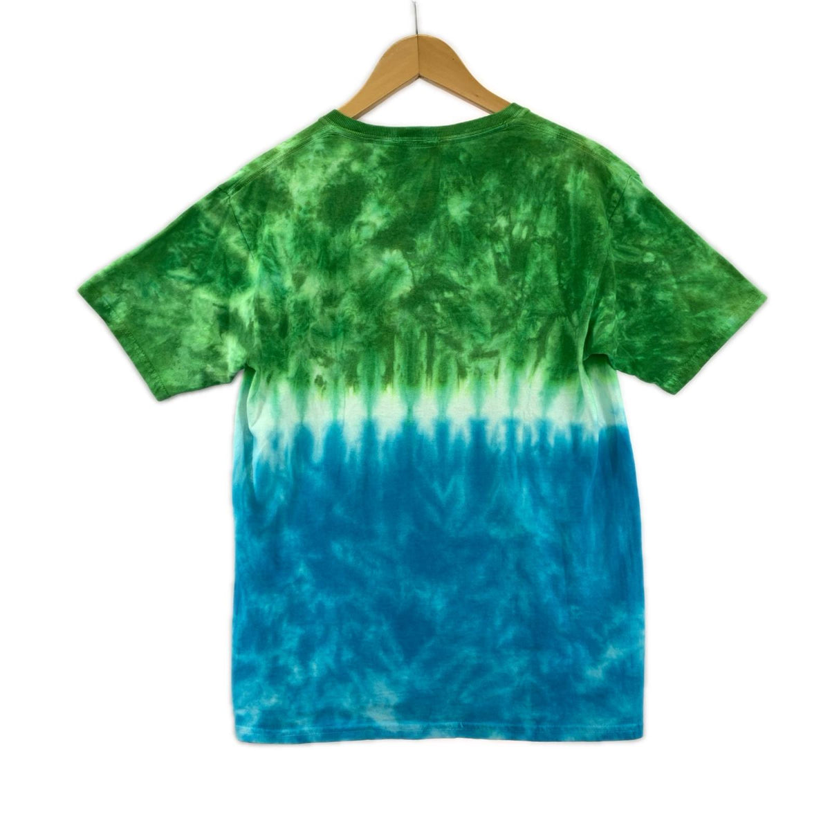 半袖Ｔシャツ DisneyParks SPLASH MOUNTAIN (L) L