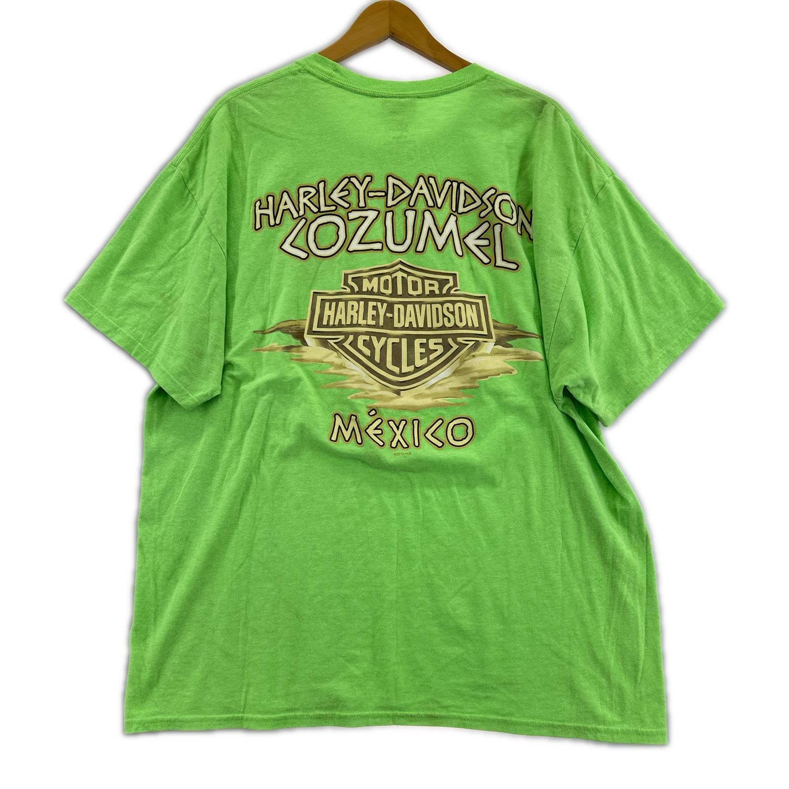 半袖Ｔシャツ Harley-Davidson カメレオン S/STEE 緑 (XL) グリーン