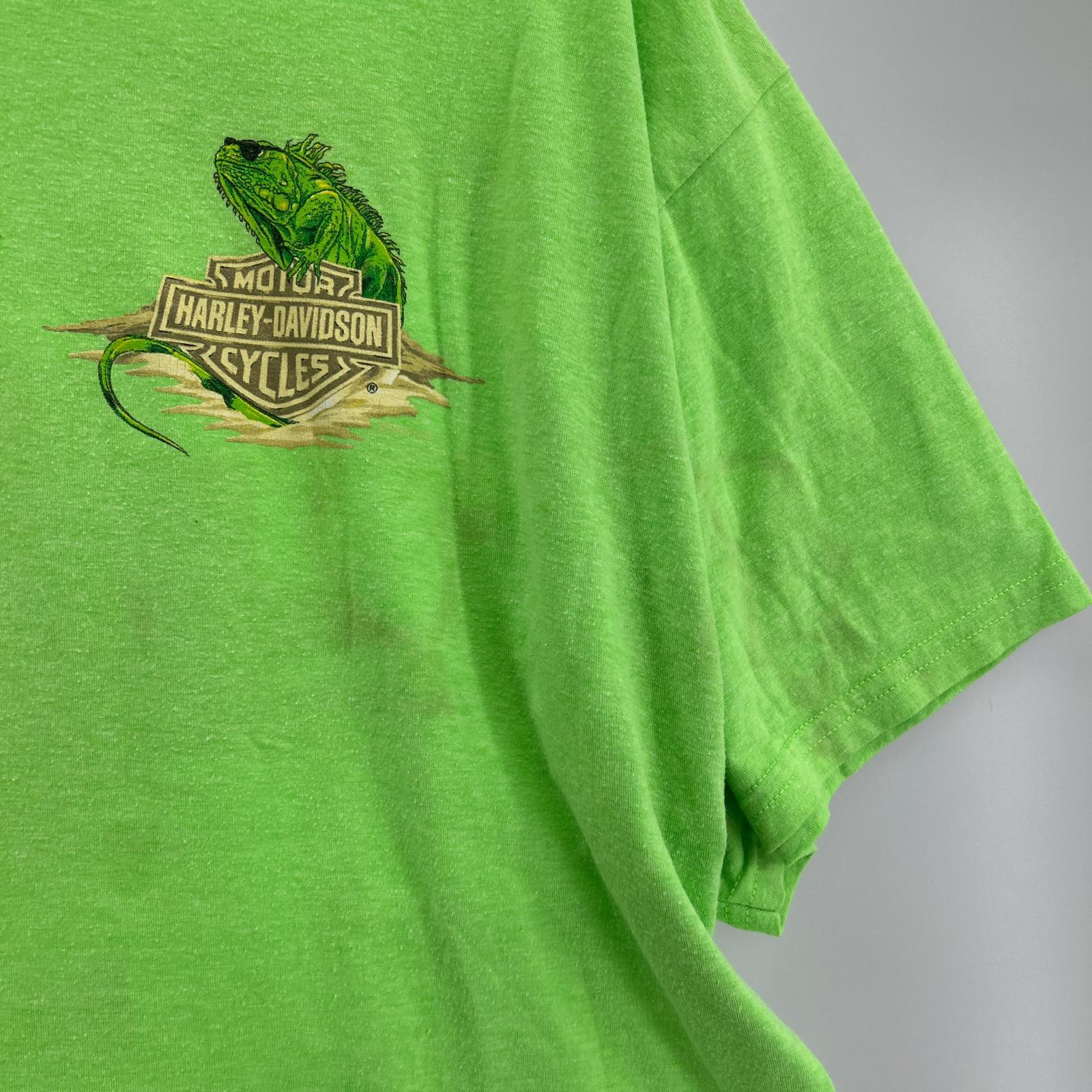 半袖Ｔシャツ Harley-Davidson カメレオン S/STEE 緑 (XL) グリーン