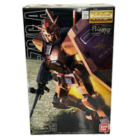 MG 1/100 キャスバル専用ガンダム プラモデル 機動戦士ガンダム　ギレンの野望 バンダイ フィギュア/グッズ