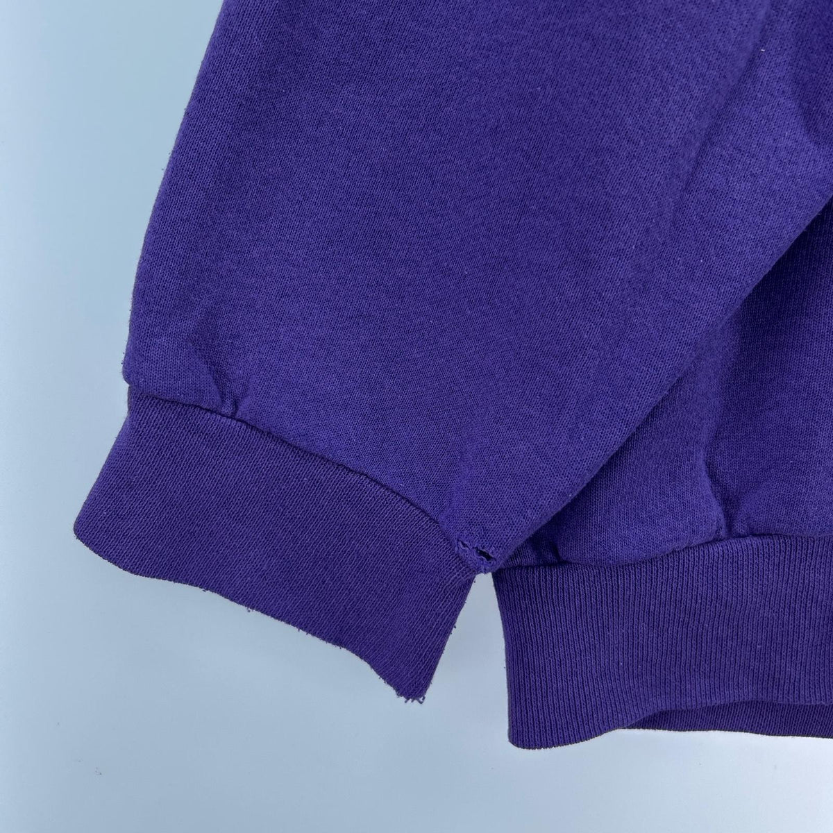 スウェット 90s フルーツタグメキシコ製 Grapevine Asia 紫 (XL) パープル
