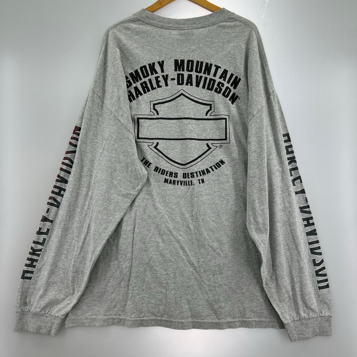 長袖Ｔシャツ ﾋﾞｯｸﾞﾛｺﾞ ｸﾞﾚｰ グレー