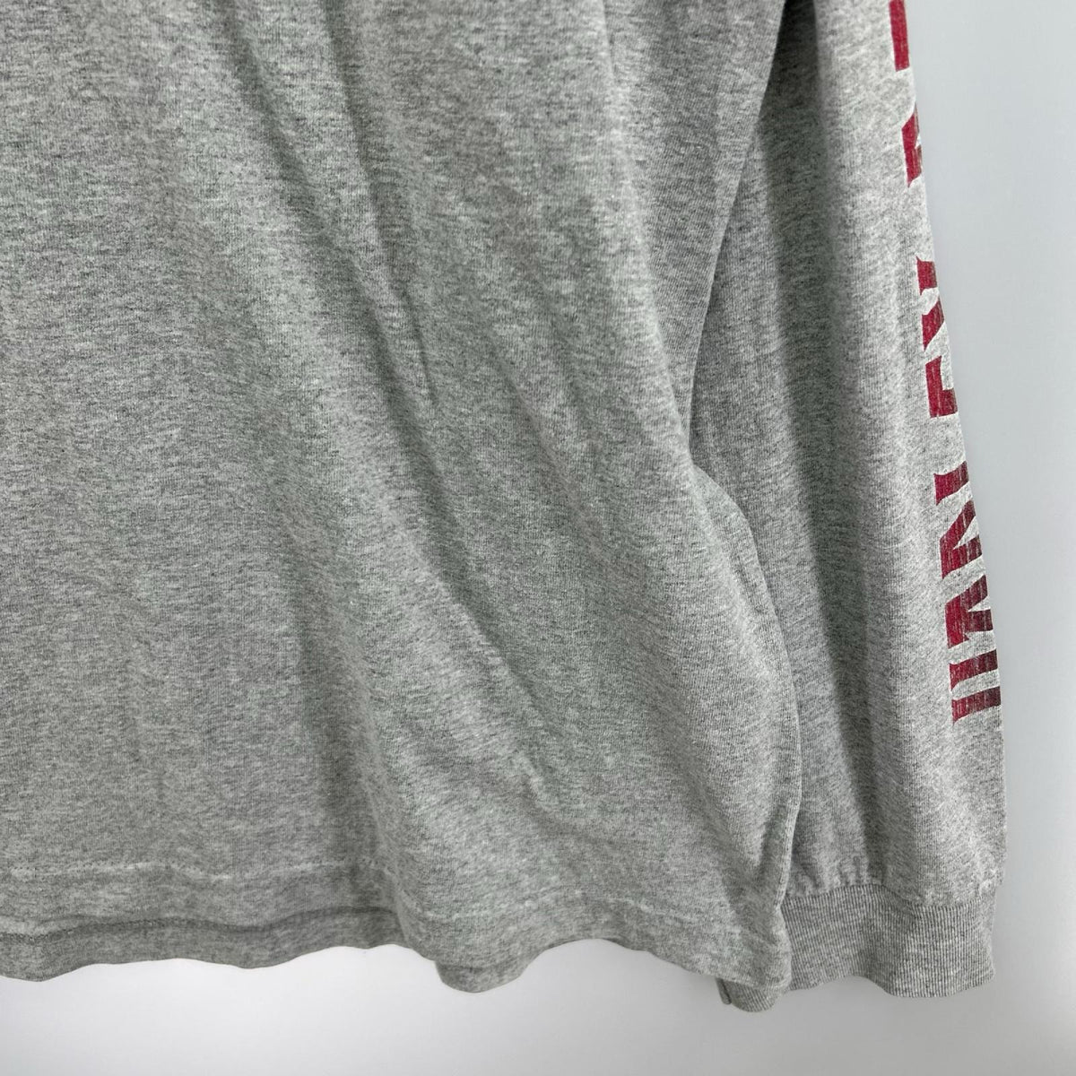 長袖Ｔシャツ ﾋﾞｯｸﾞﾛｺﾞ ｸﾞﾚｰ グレー