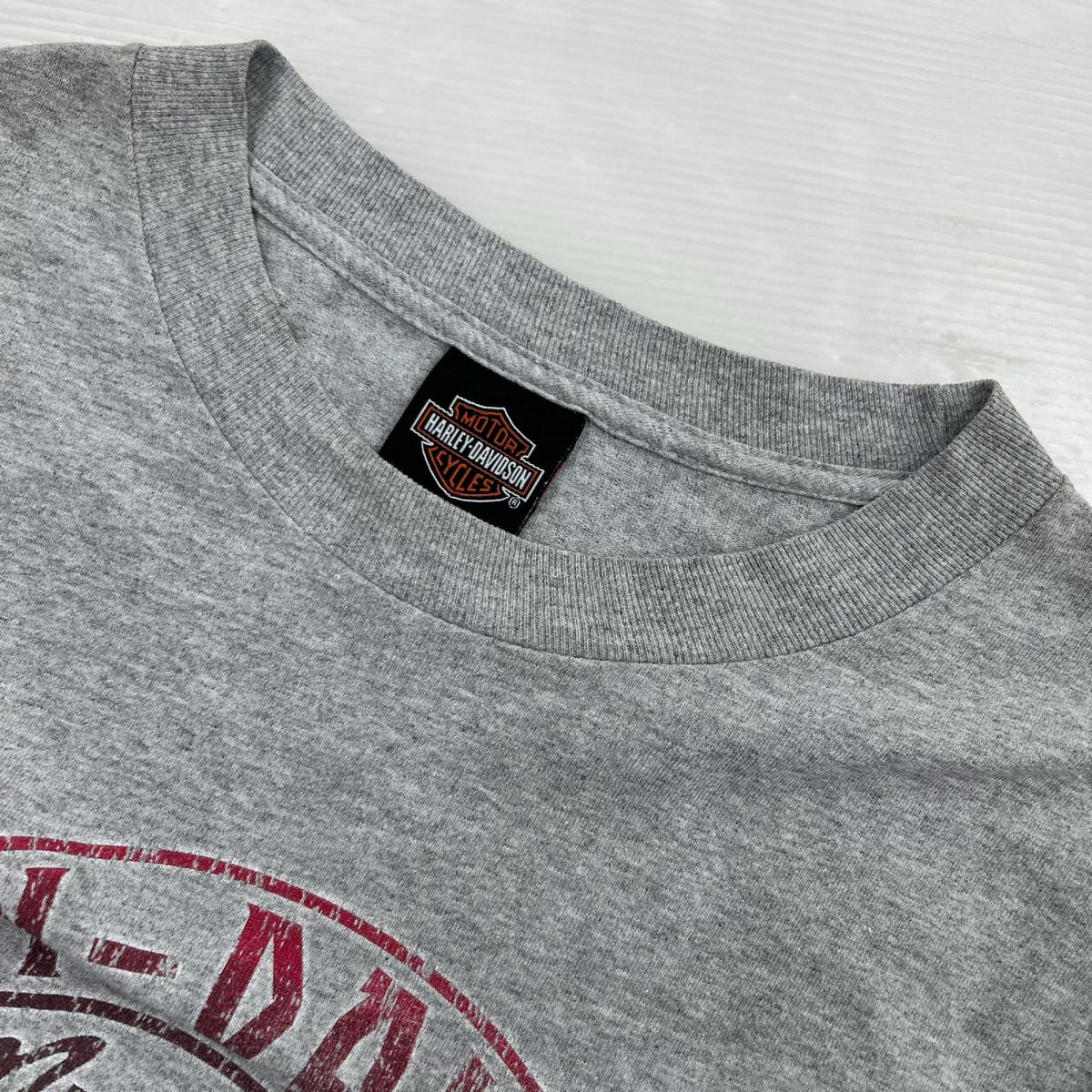 長袖Ｔシャツ ﾋﾞｯｸﾞﾛｺﾞ ｸﾞﾚｰ グレー