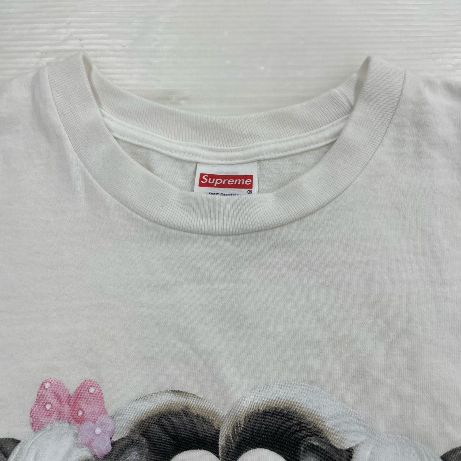 半袖Ｔシャツ 26SS Skunk Tee White M M ホワイト