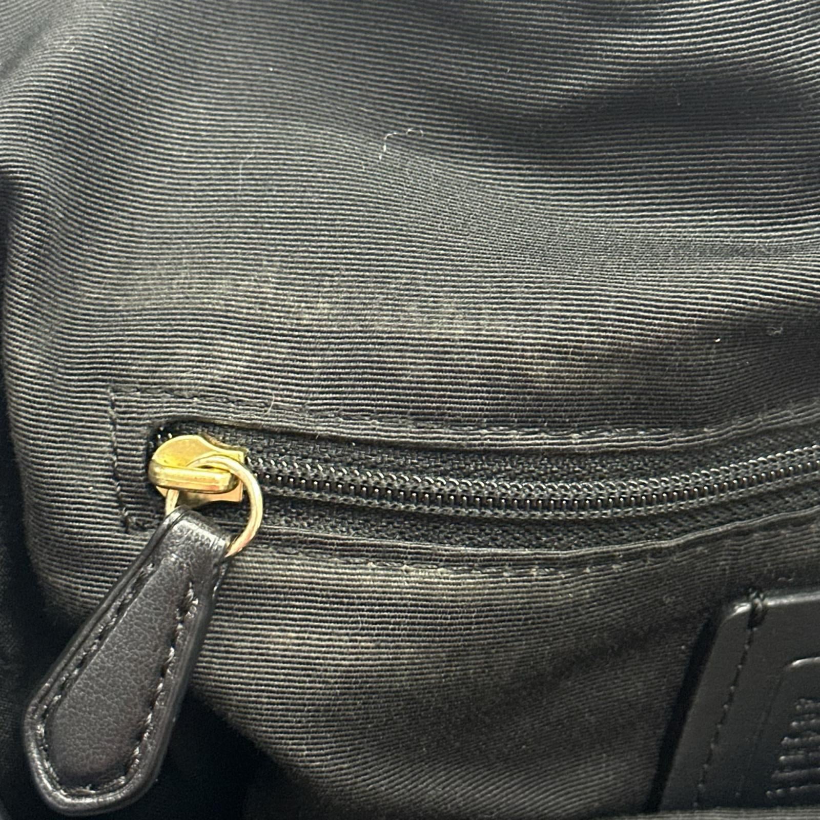 COACH ラグジュアリーペブルドレザーハリーショルダー