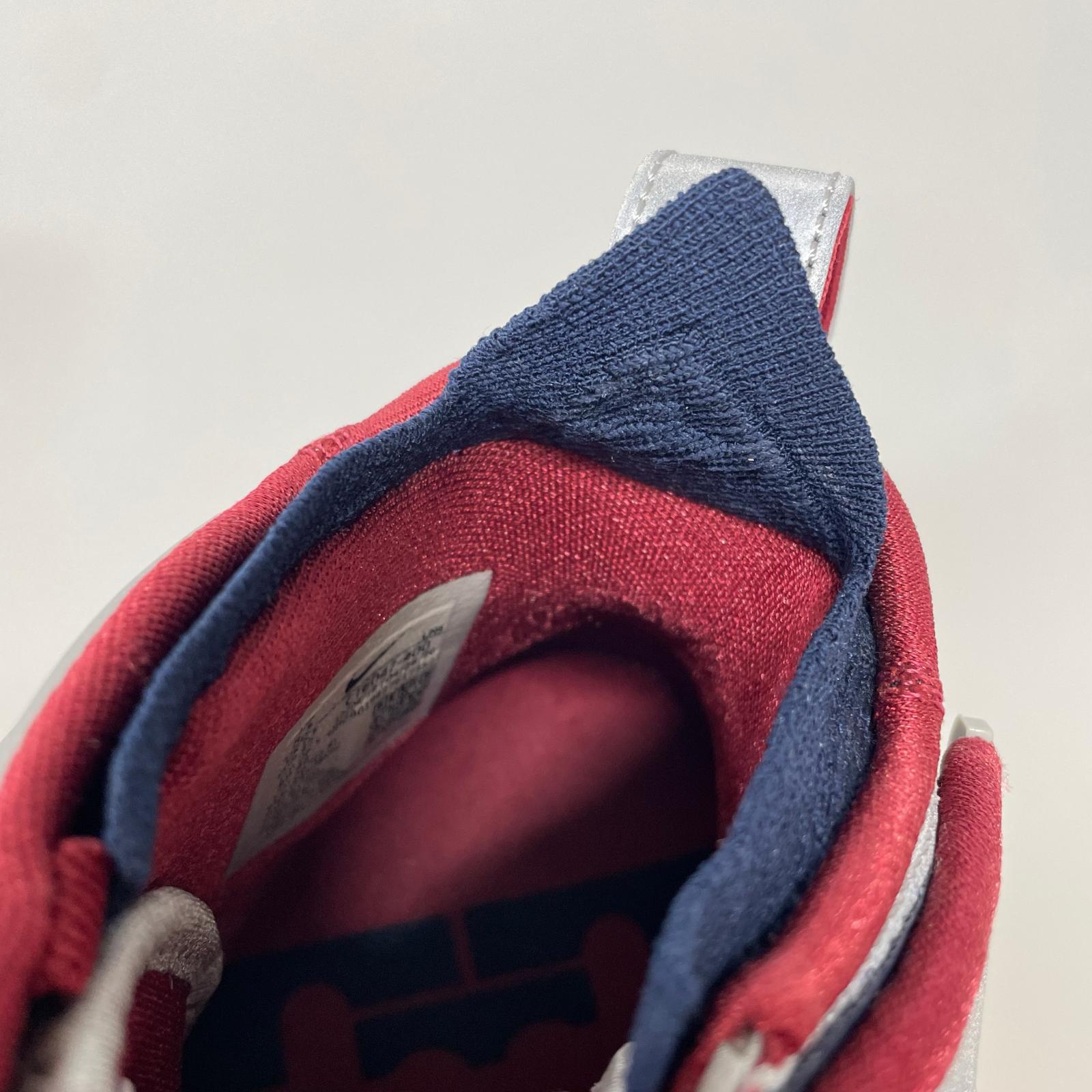 スニーカー LEBRON XVII FP (26.5cm) 26.5cm (US8 1/2 UK8 EU43)