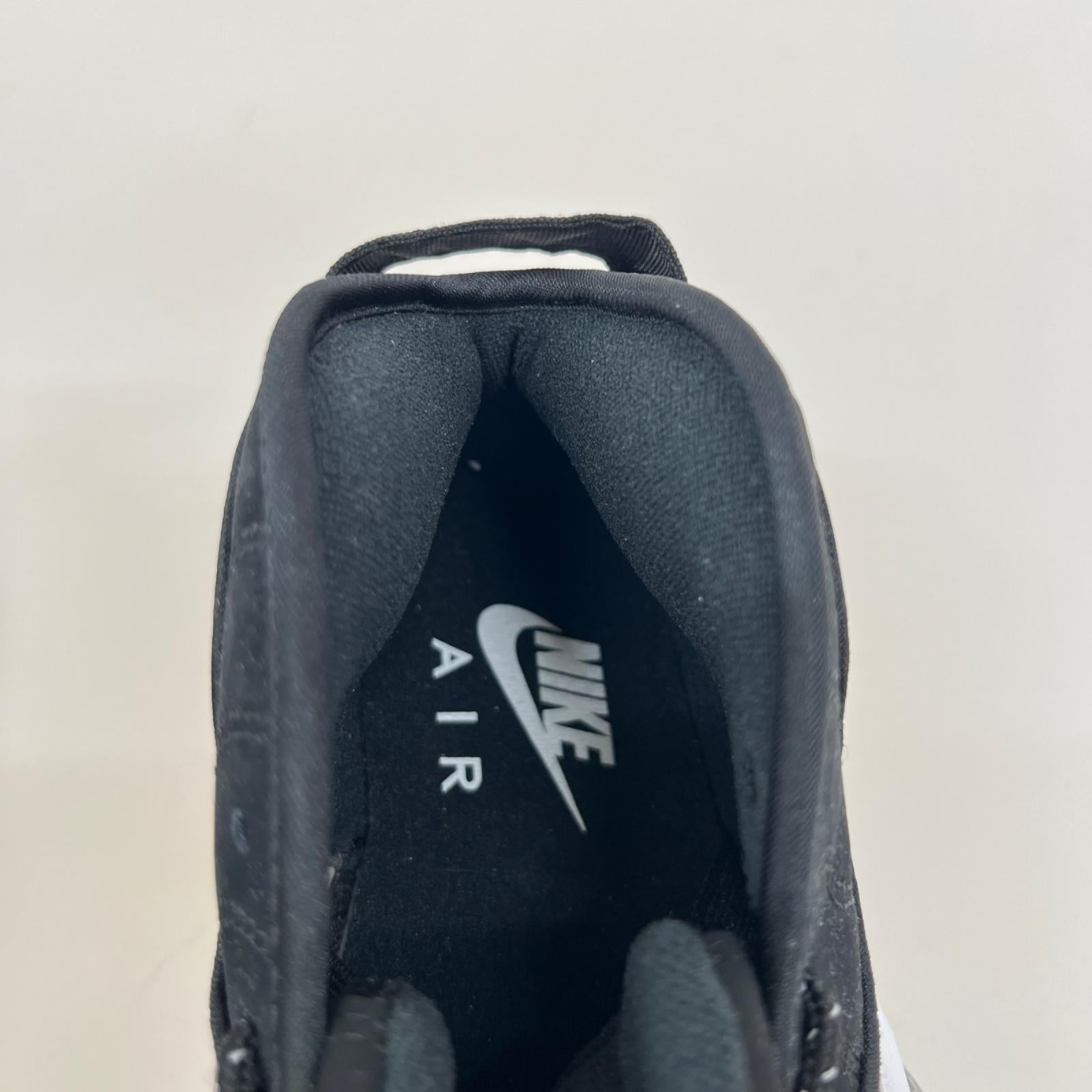 スニーカー AIR ZOOM FLIGHT 95/25cm/DM0523-001 25cm (US7 UK6 1/2 EU40) ブラック