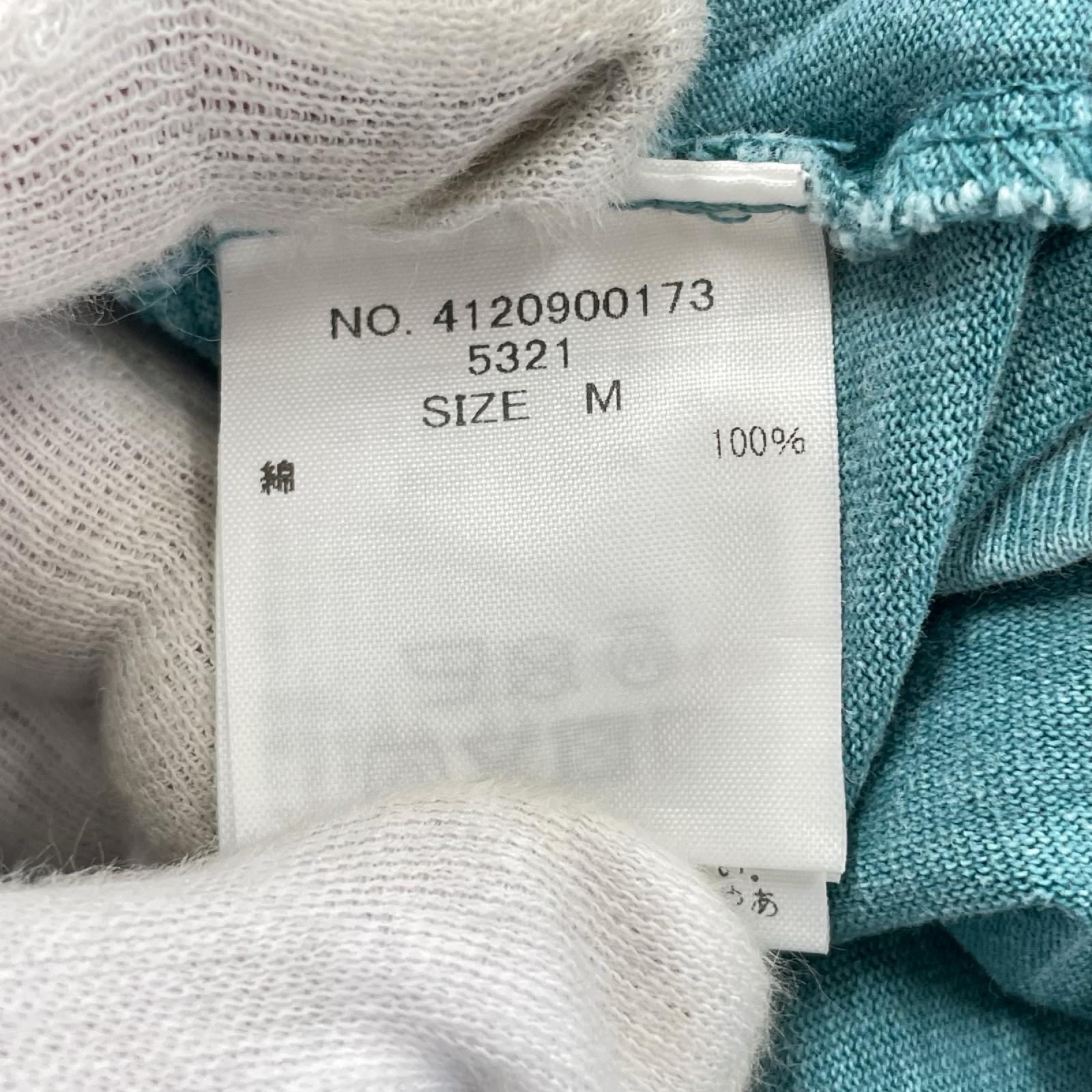 半袖Ｔシャツ ×JULIAN KLINCEWICZ HOPE SPRINGS (M) M ブルー