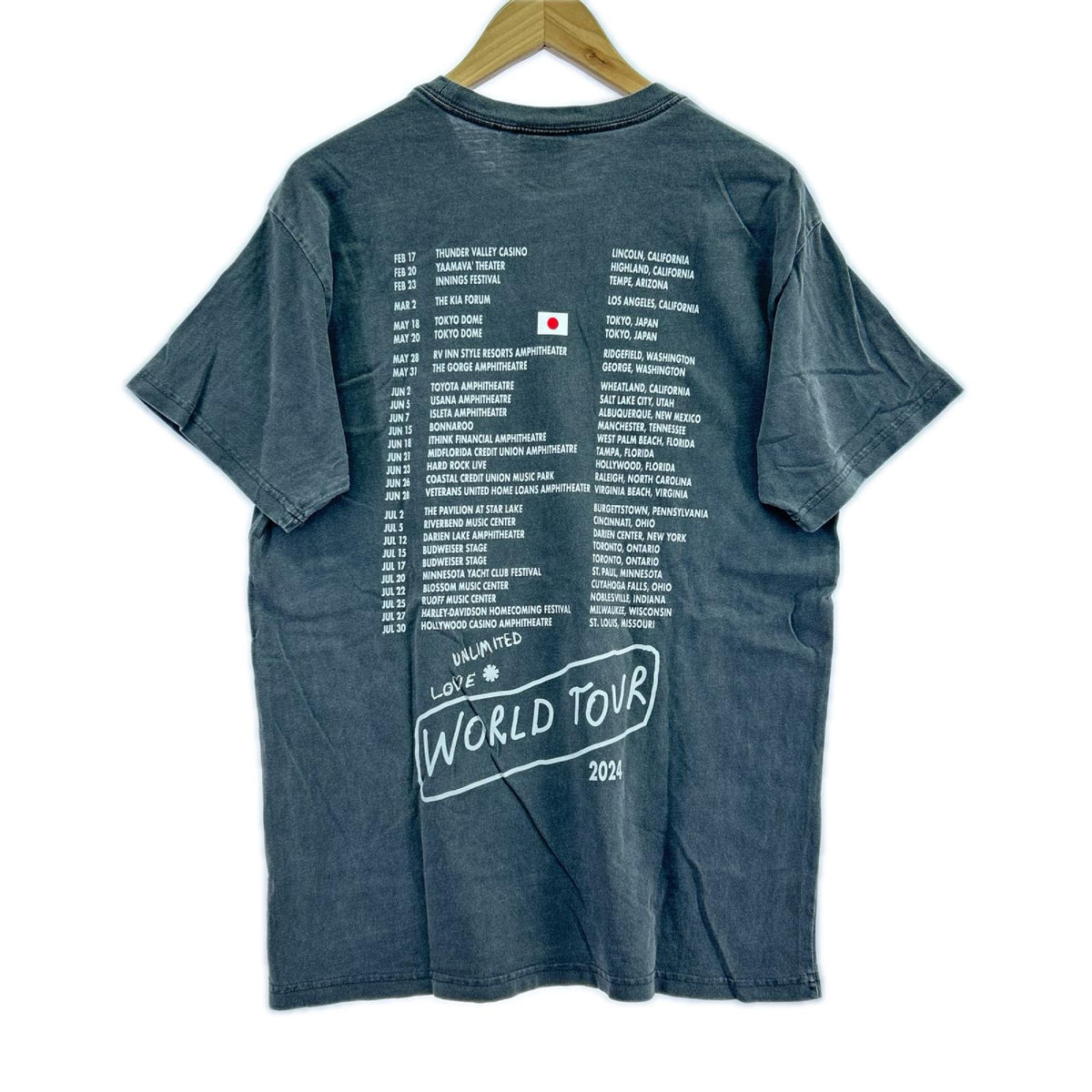 半袖Ｔシャツ 2024年 Red Hot Chill Peppers ﾄﾞｰﾑﾂｱｰT (M) M グレー