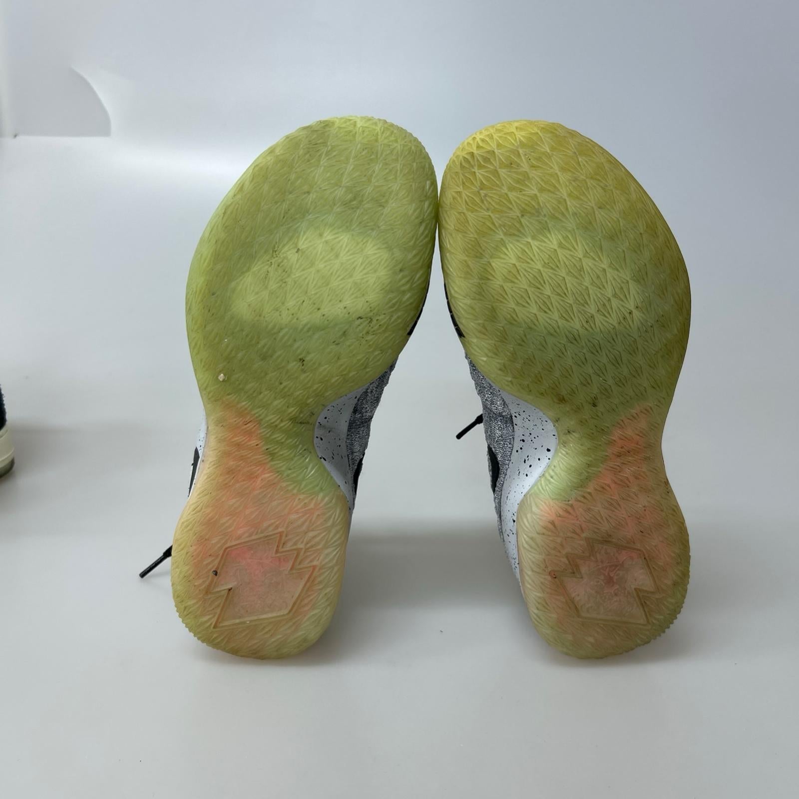 スニーカー LEBRON XV LOW EP　26.5㎝ 26.5cm (US8 1/2 UK8 EU43) グレー