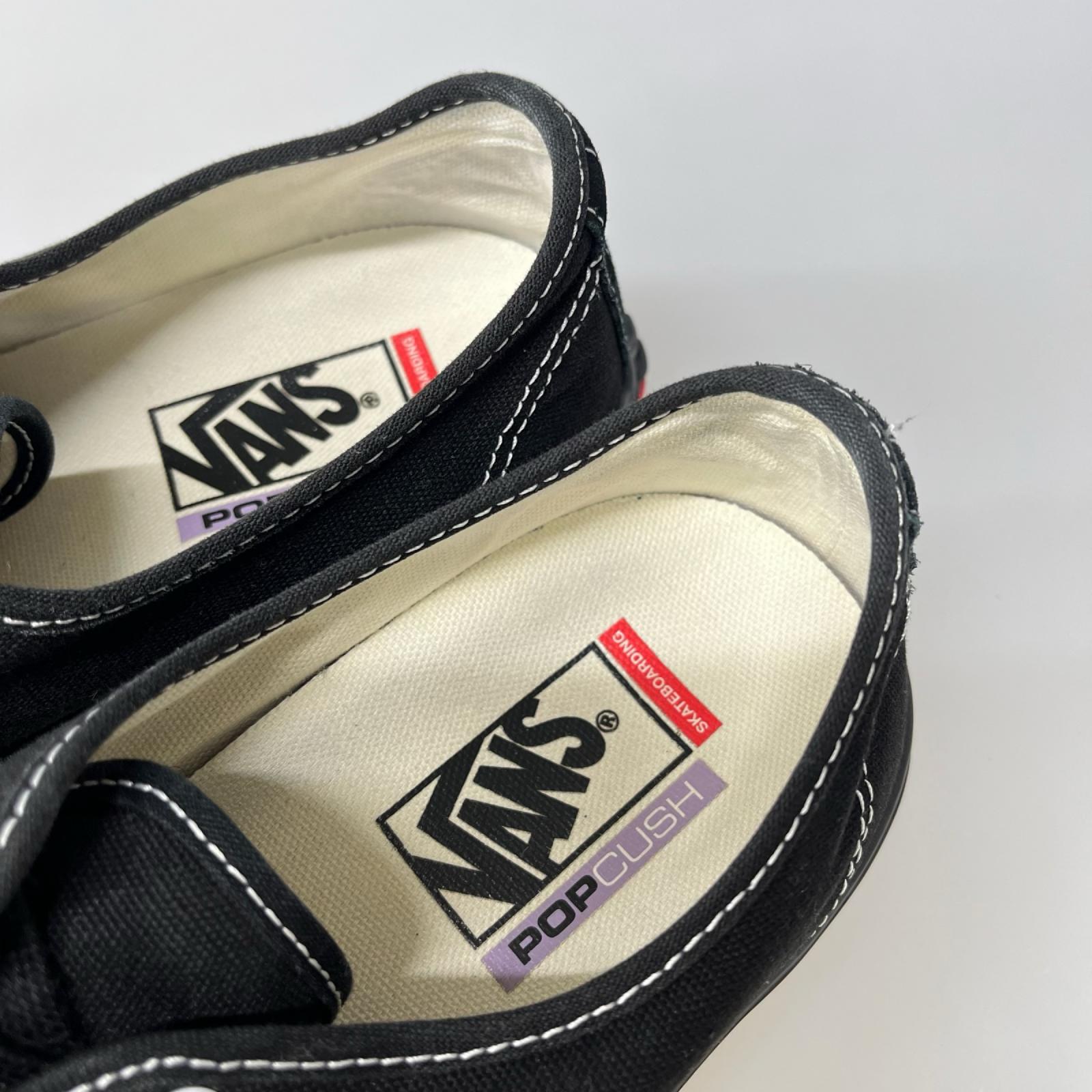 スニーカー SKATE AUTHENTIC 黒 (28㎝) 28cm (US10 UK9 1/2 EU46) ブラック