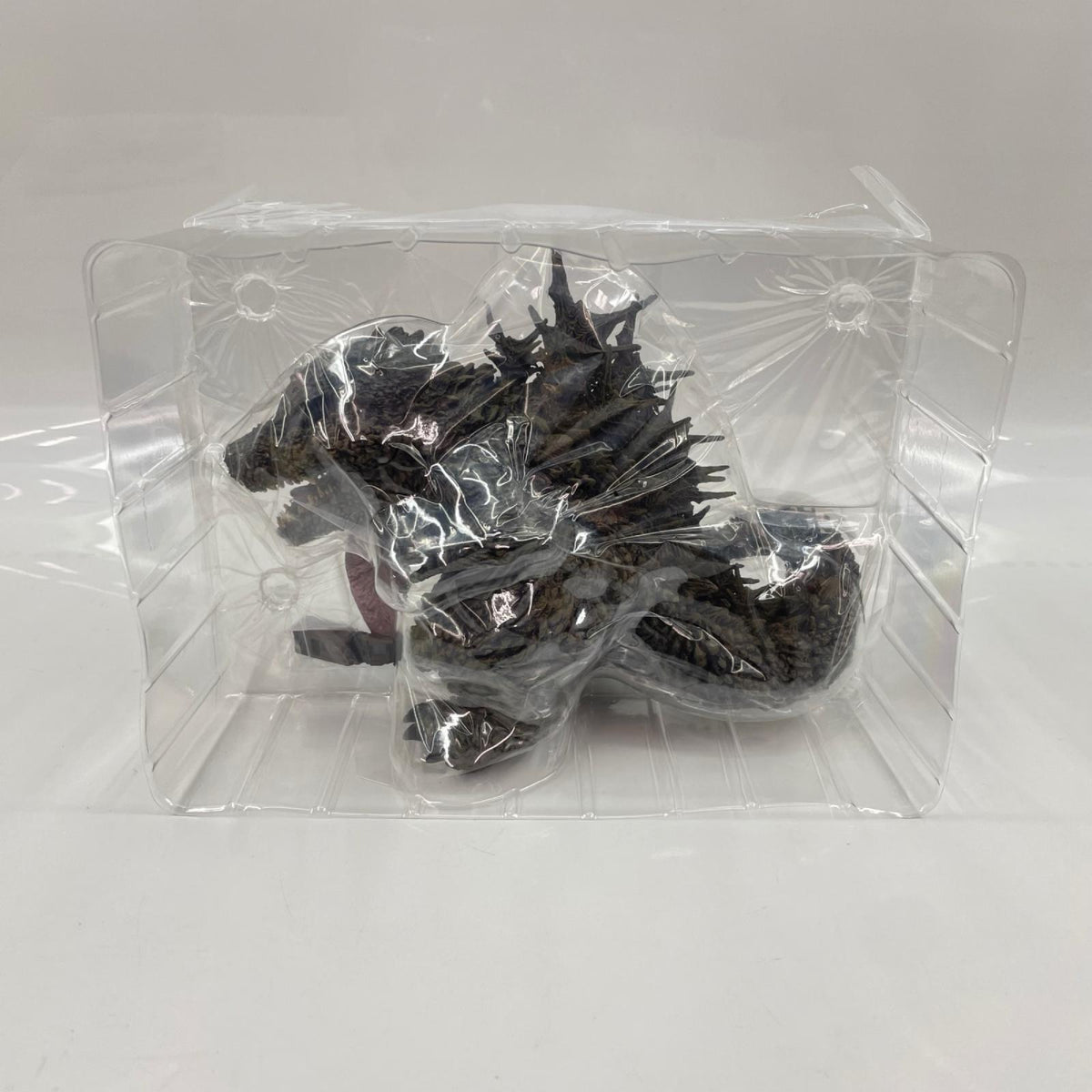 デフォリアル ゴジラ -1.0 ゴジラ(2023) 完成品フィギュア フィギュア/グッズ