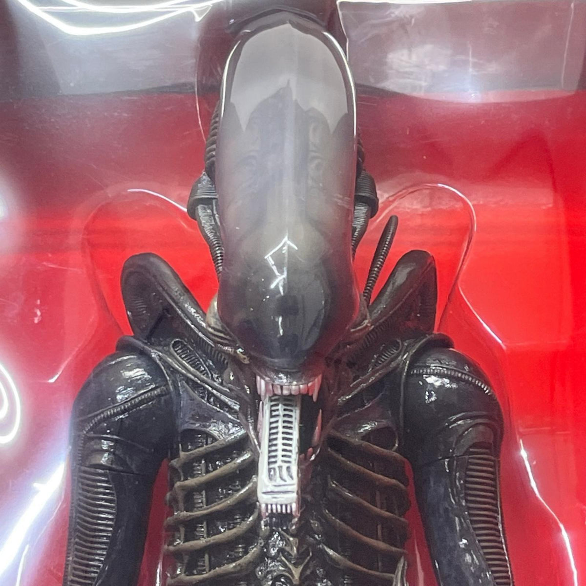 NECA 1/4 エイリアン ゼノモーフ エイリアン/ALIEN NECA/ネカ フィギュア/グッズ