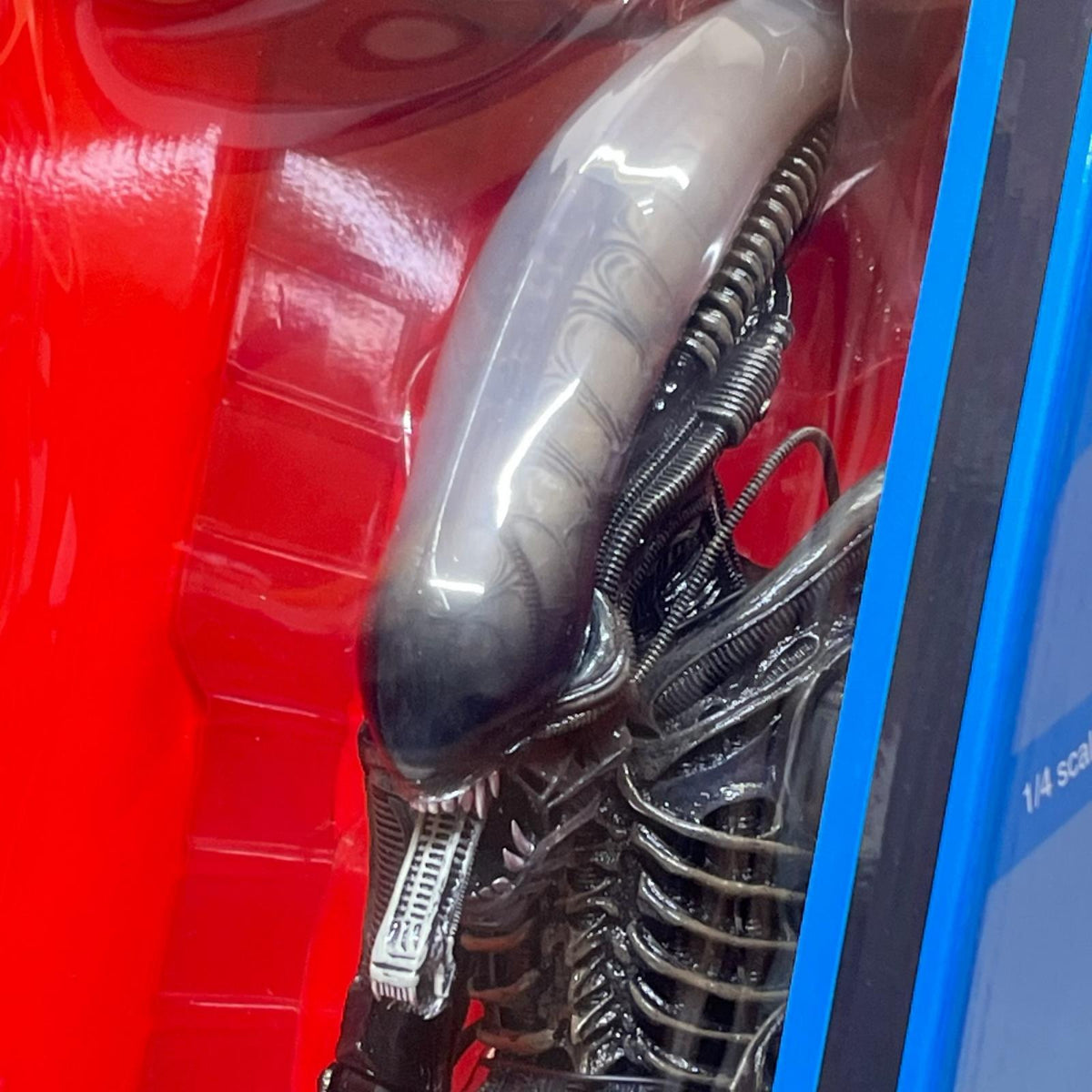 NECA 1/4 エイリアン ゼノモーフ エイリアン/ALIEN NECA/ネカ フィギュア/グッズ