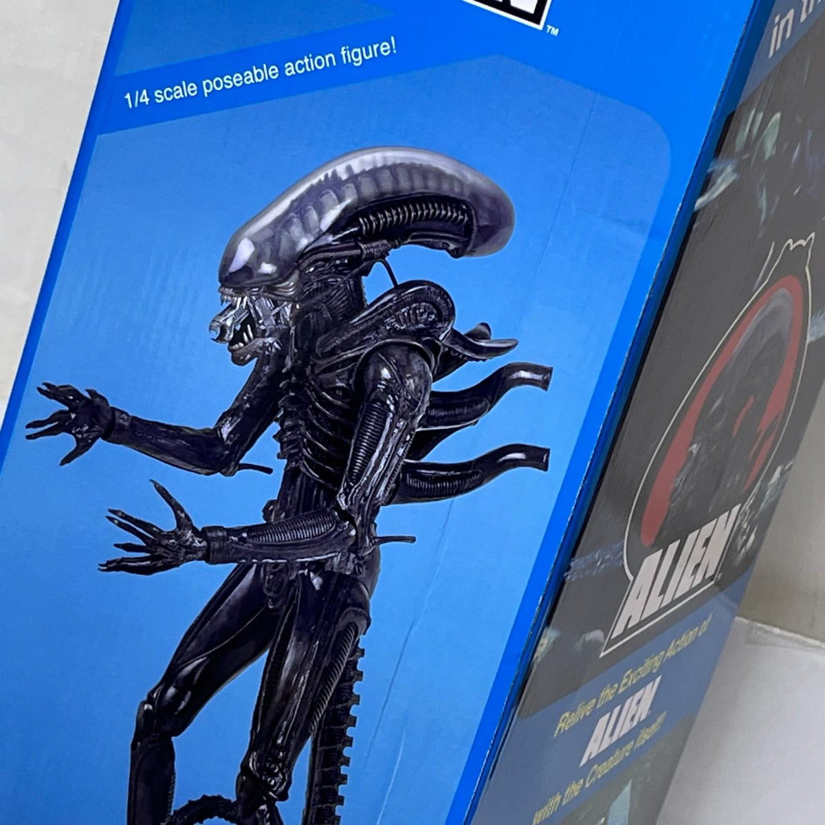 NECA 1/4 エイリアン ゼノモーフ エイリアン/ALIEN NECA/ネカ フィギュア/グッズ