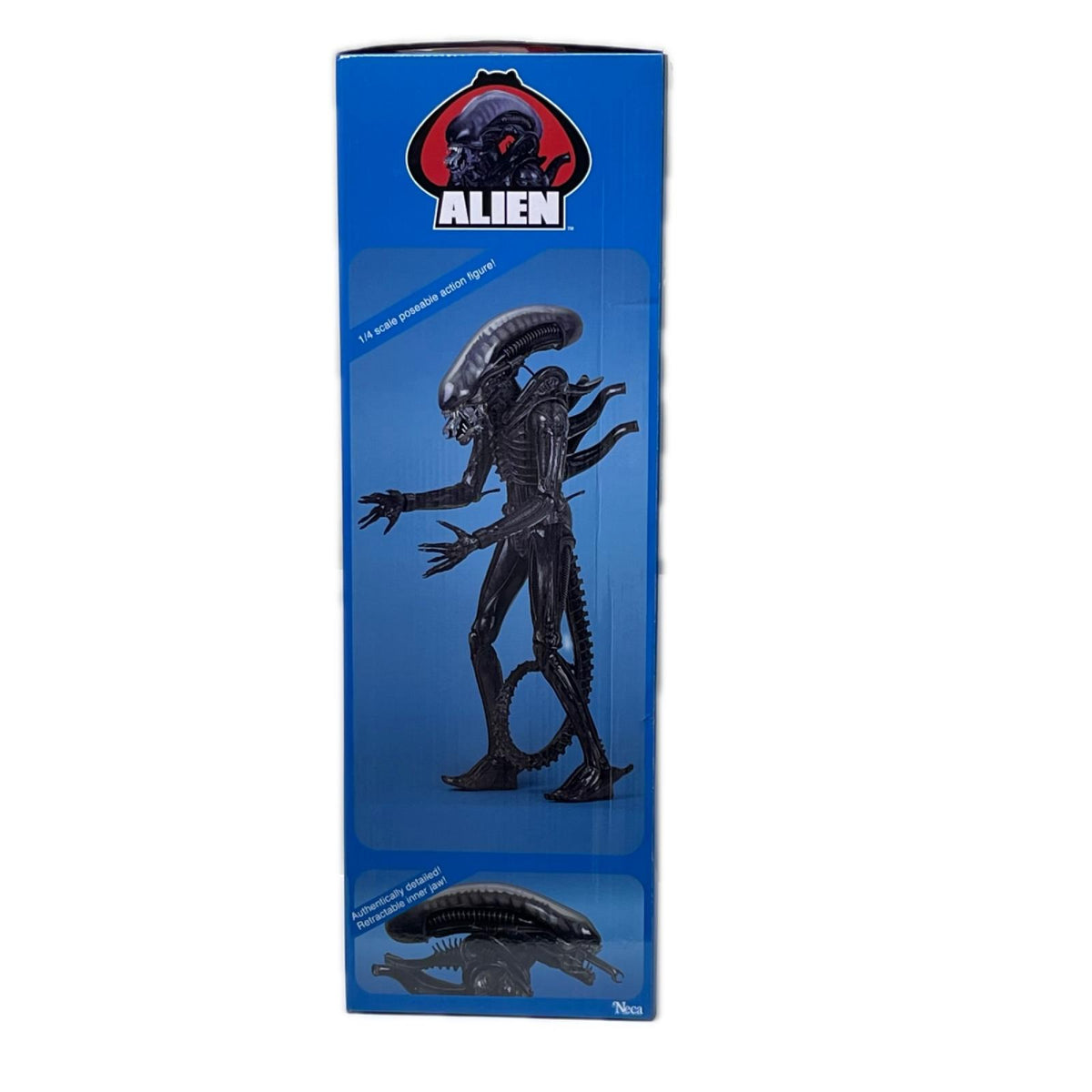 NECA 1/4 エイリアン ゼノモーフ エイリアン/ALIEN NECA/ネカ フィギュア/グッズ