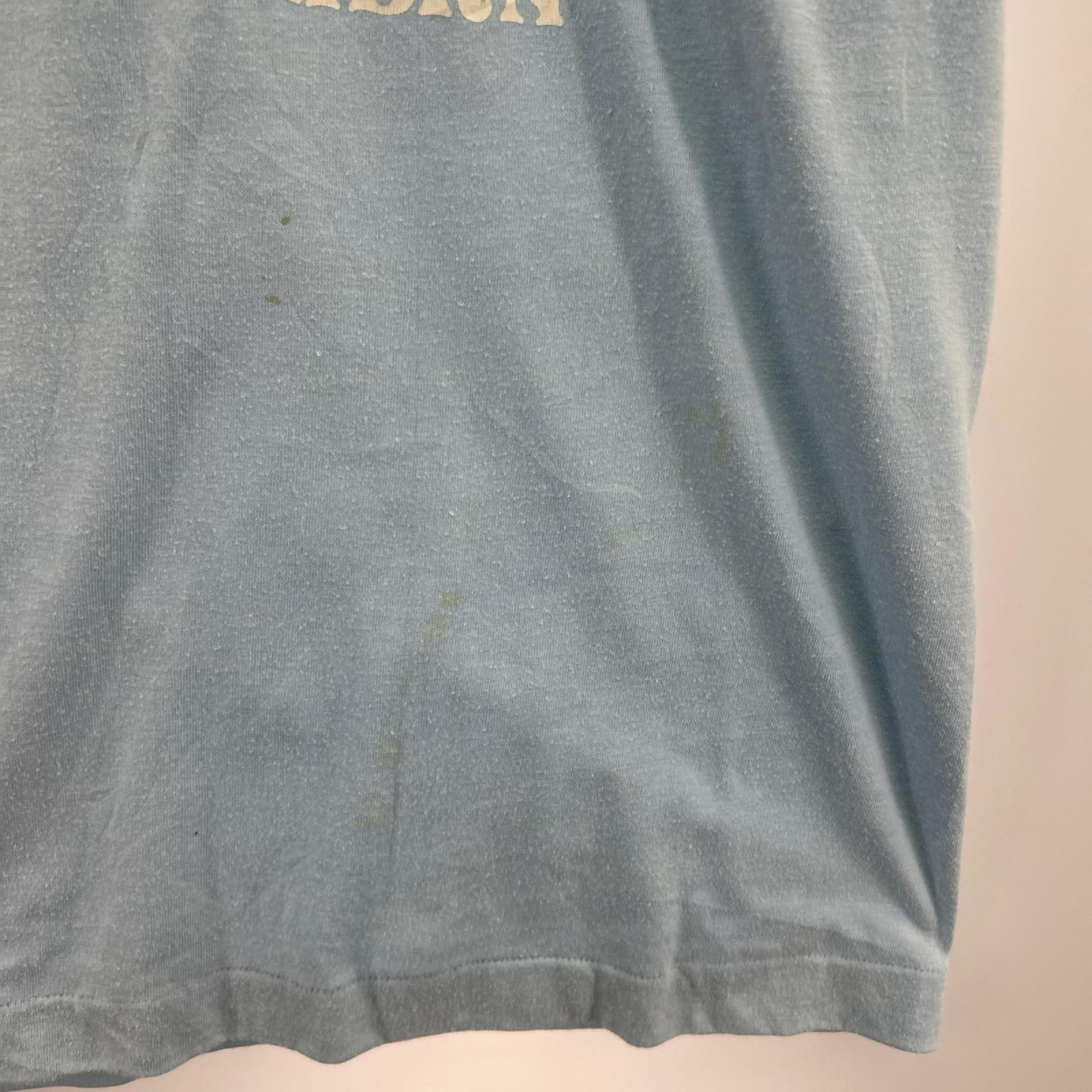 半袖Ｔシャツ 80s/ﾄﾘｺﾀｸﾞ/ﾗｸﾞﾗﾝTｼｬﾂ