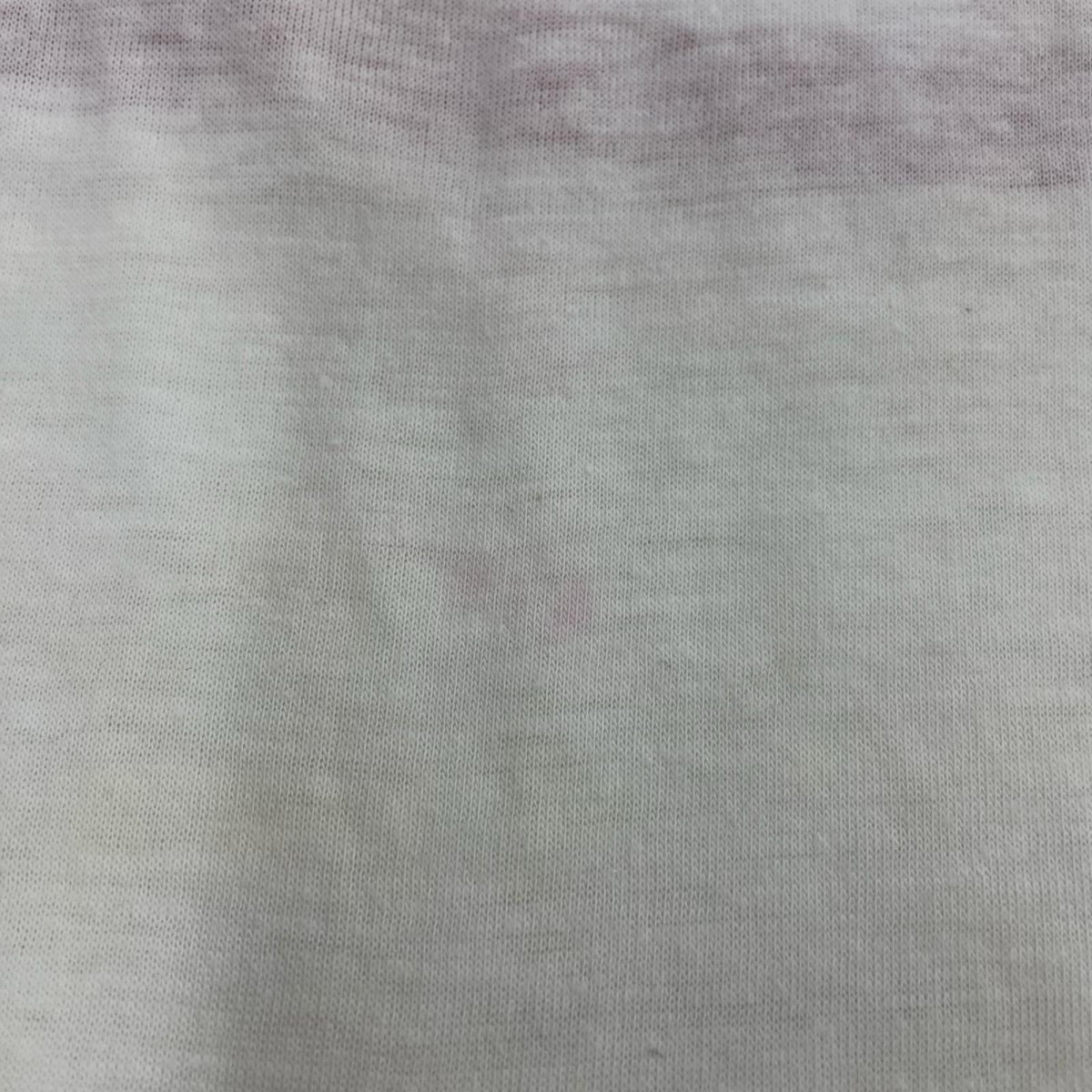 半袖Ｔシャツ DEVKNIT ﾘﾝｶﾞ‐ﾈｯｸ M ホワイト